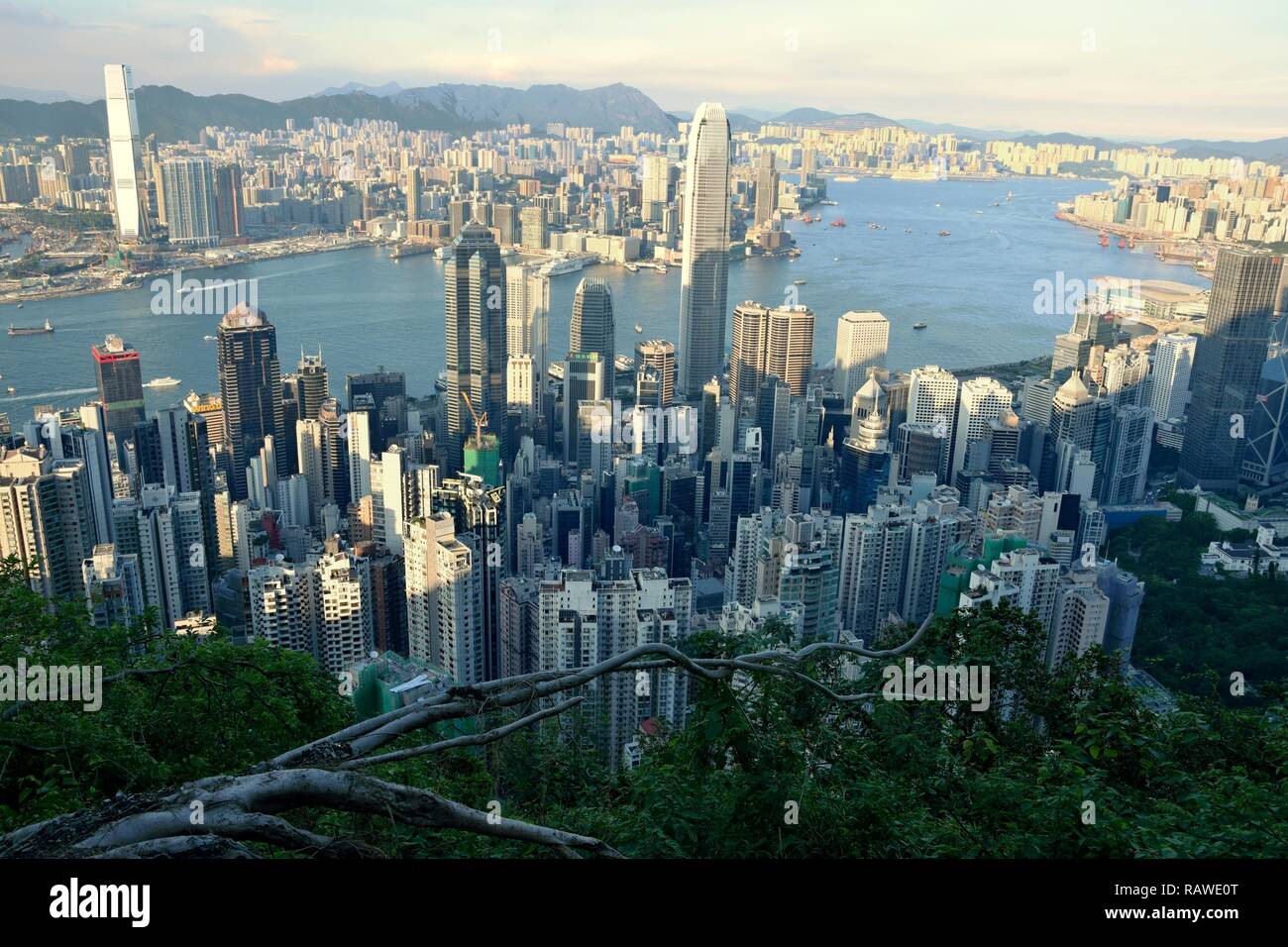 Hong Kong skyline cityscape from the bird´s eye view Stock Photo - Alamy, image size:1300x956