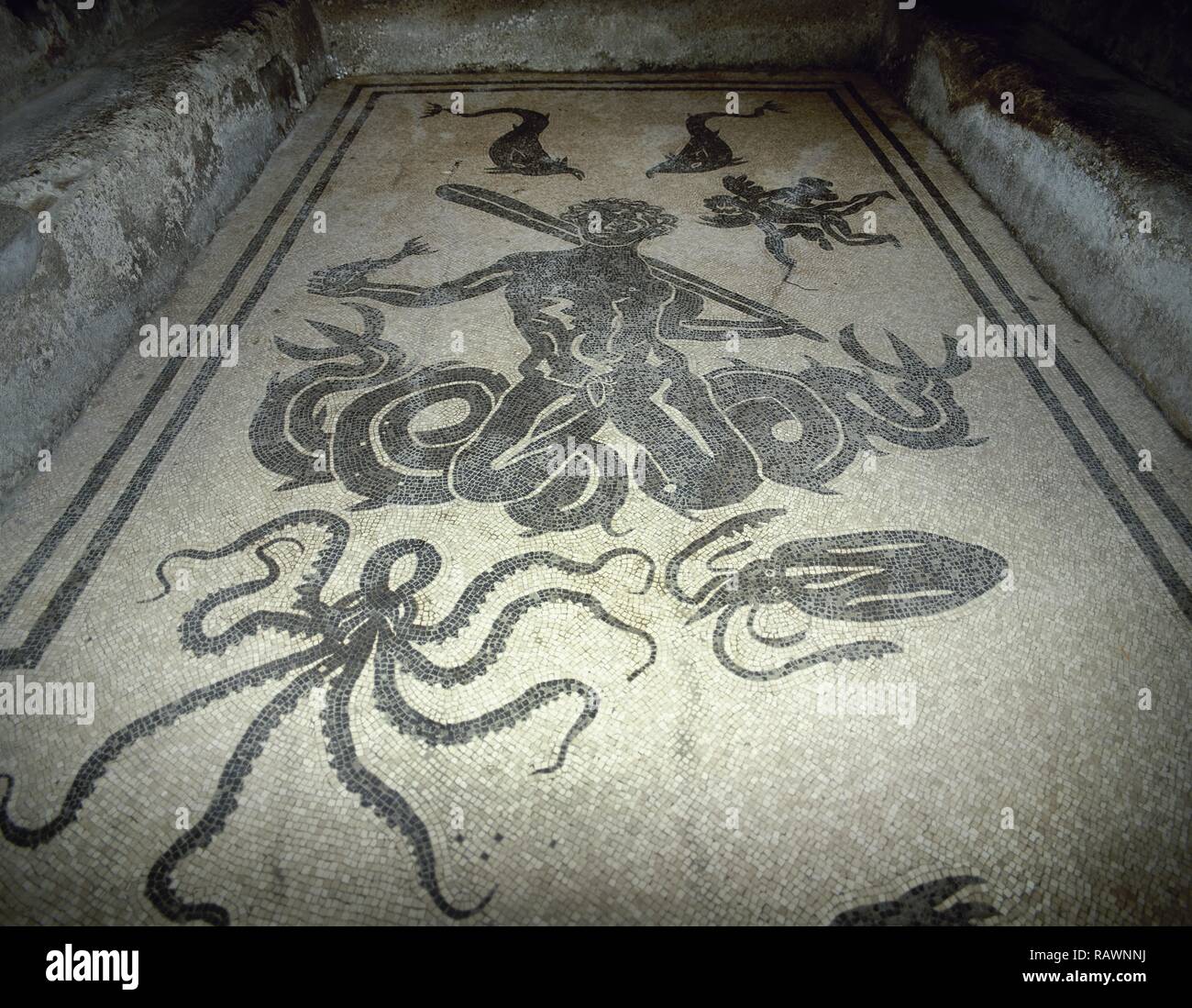Italy. Herculaneum. Mosaic floor in Apodyterium (female locker room).  Triton surrounded by octopuses, dolphins and brunettes. Women's Thermal  Baths. 1st century BC. Campania Stock Photo - Alamy