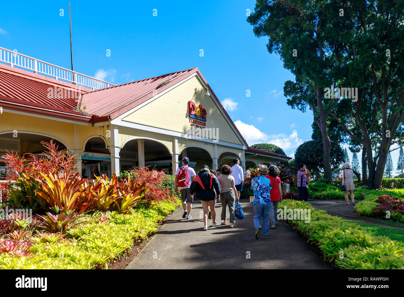 Wahiawa, Hawaii Dec 25, 2018 View of the Dole Pineapple Plantation