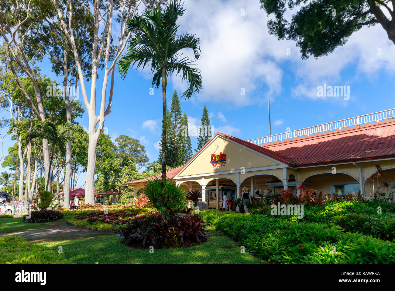 Wahiawa, Hawaii Dec 25, 2018 View of the Dole Pineapple Plantation