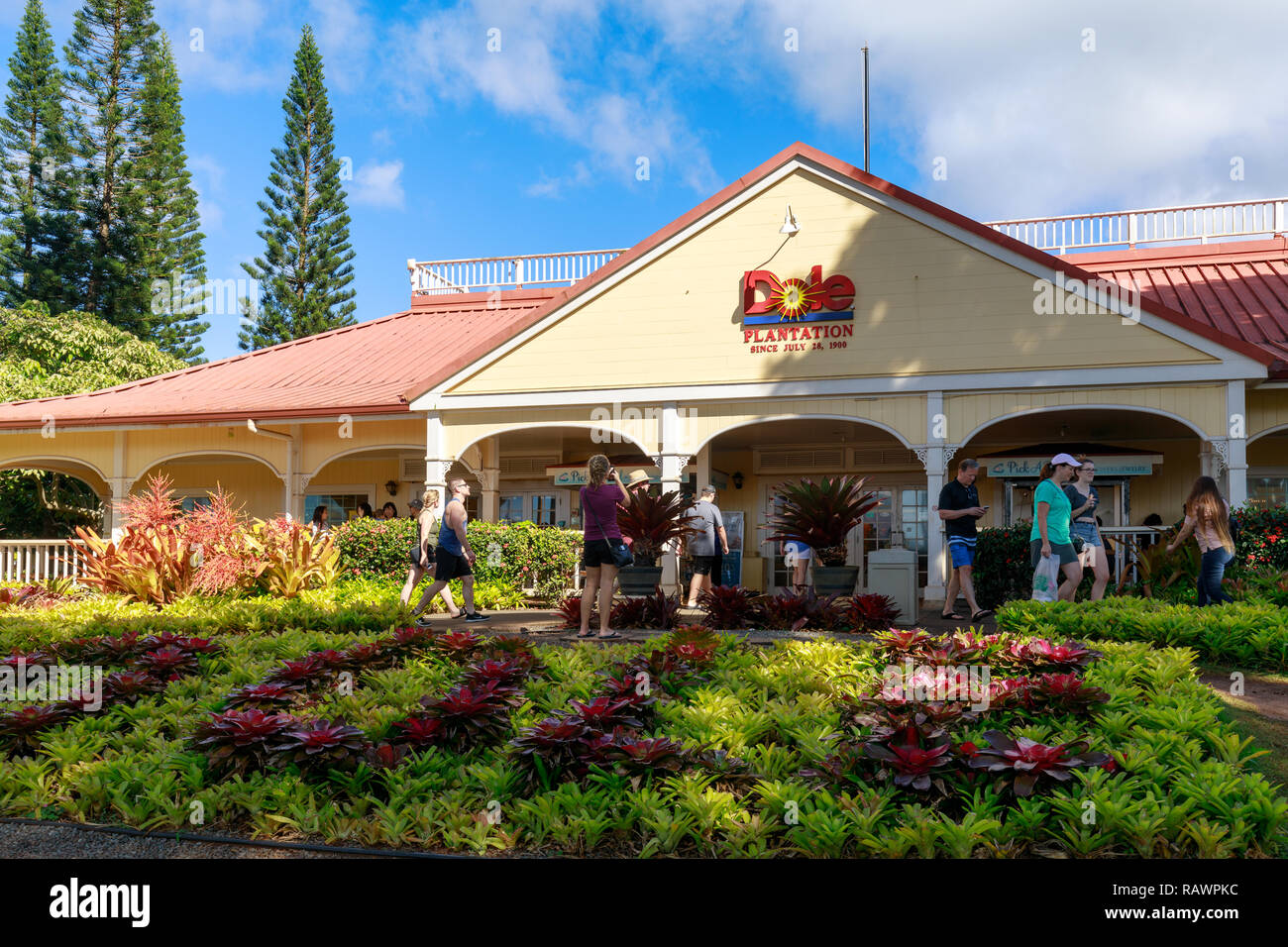 Wahiawa, Hawaii Dec 25, 2018 View of the Dole Pineapple Plantation