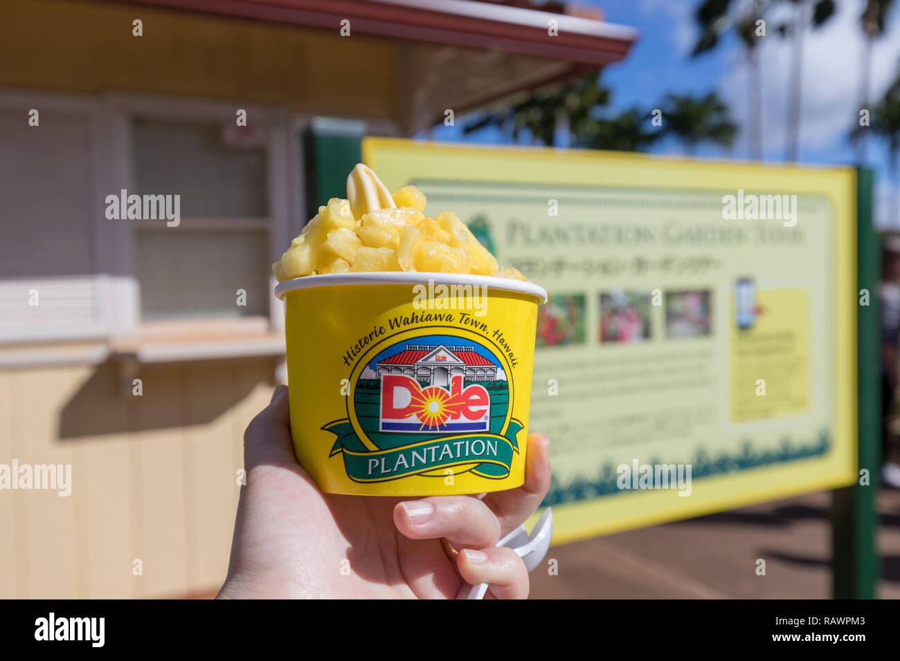 Wahiawa, Hawaii Dec 25, 2018 Pineapple Ice Cream at the Dole