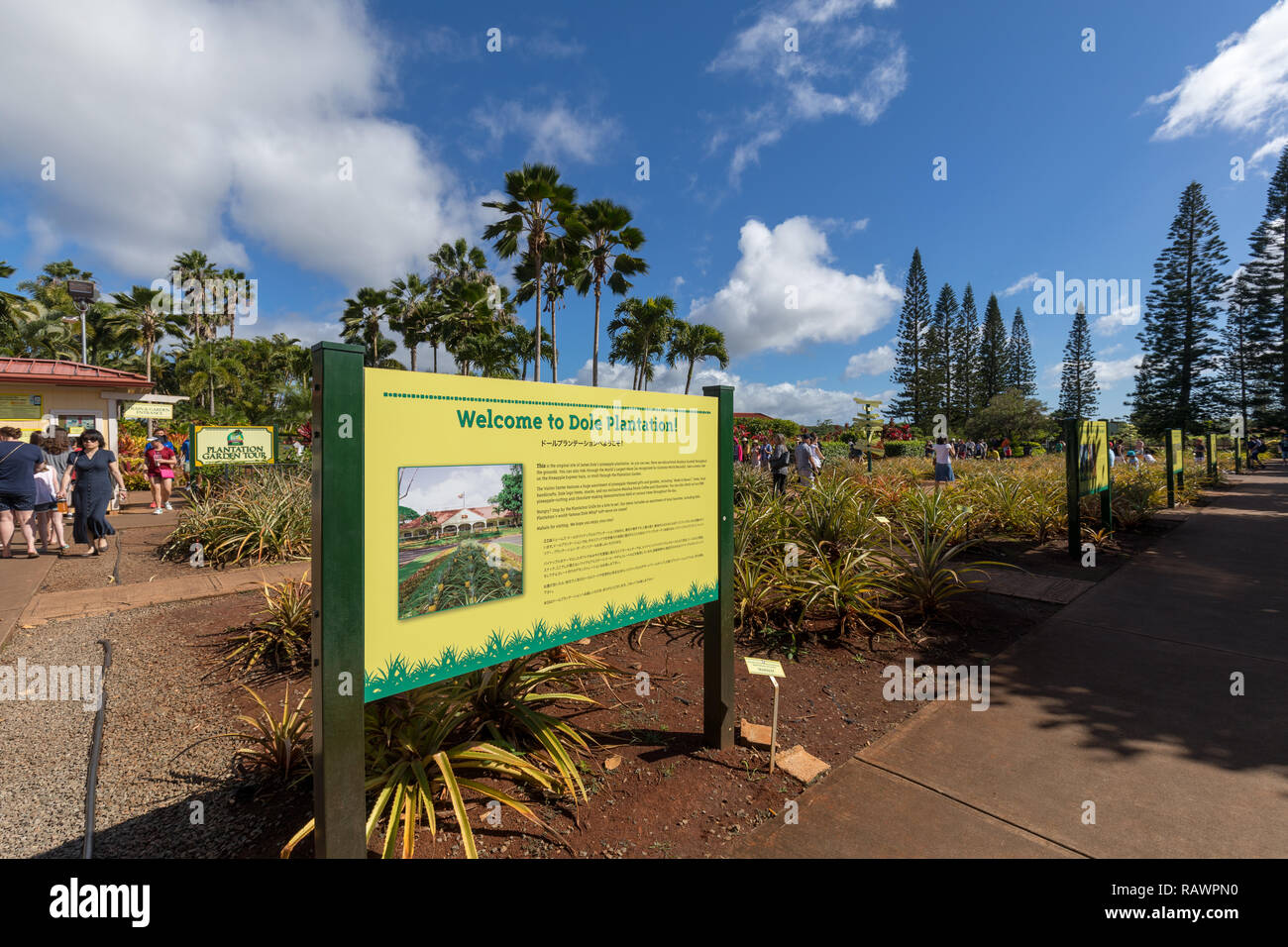 Wahiawa, Hawaii Dec 25, 2018 View of the Dole Pineapple Plantation
