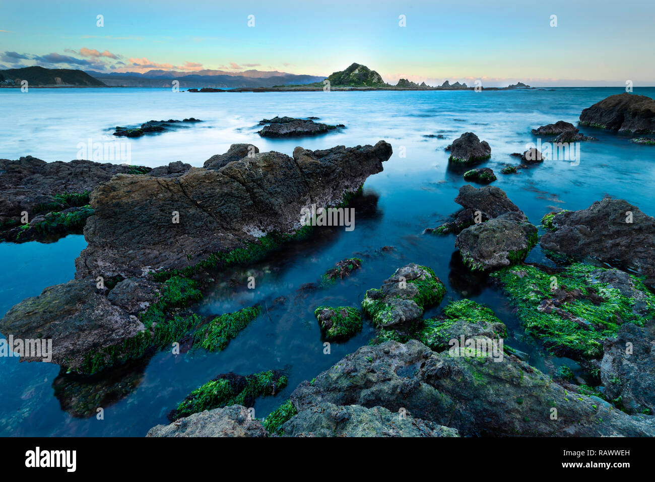 A view of Island Bay in Wellington in New Zealand Stock Photo Alamy