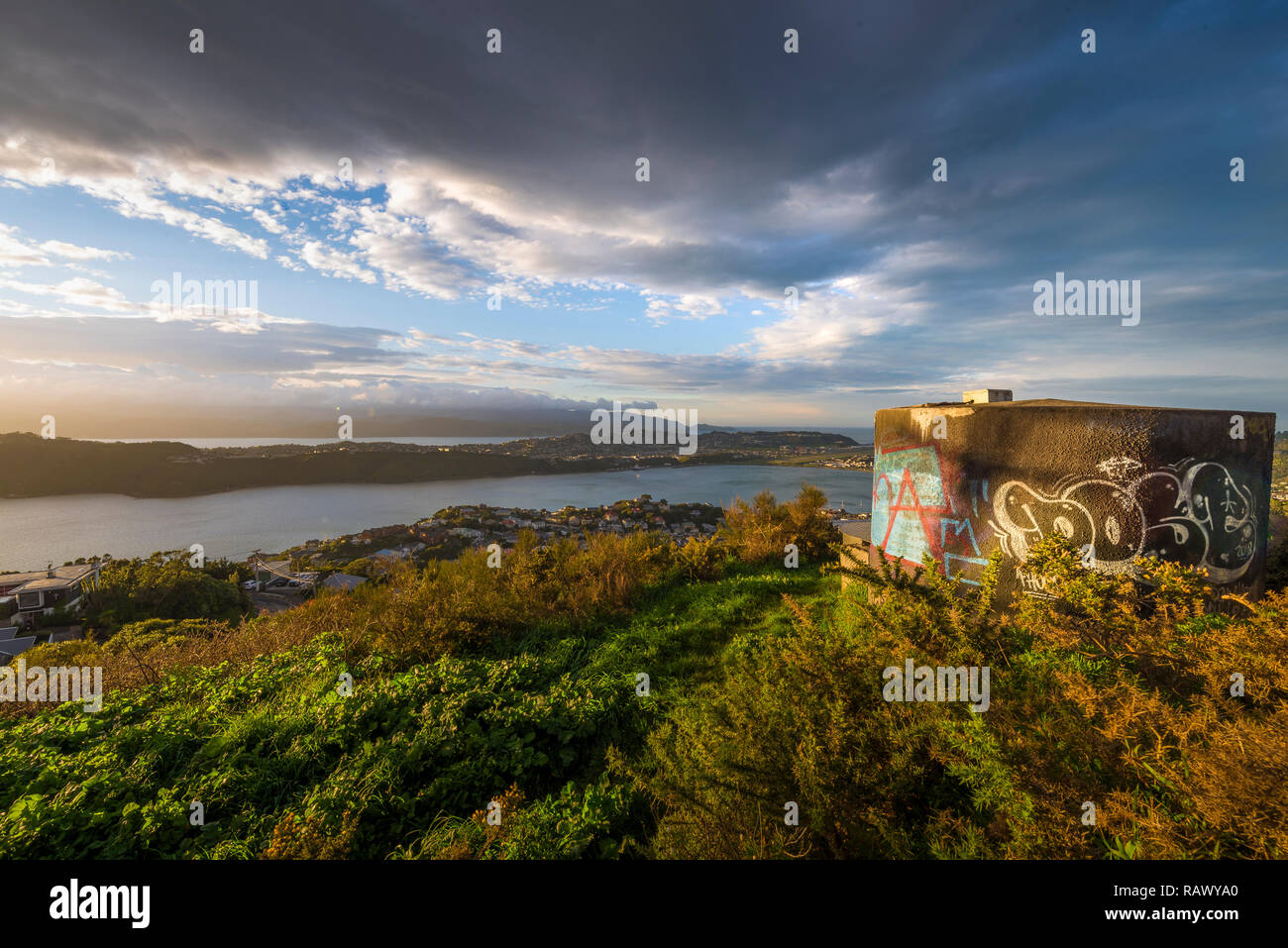 A view on top of Mt Victoria in Wellington in New Zealand Stock Photo