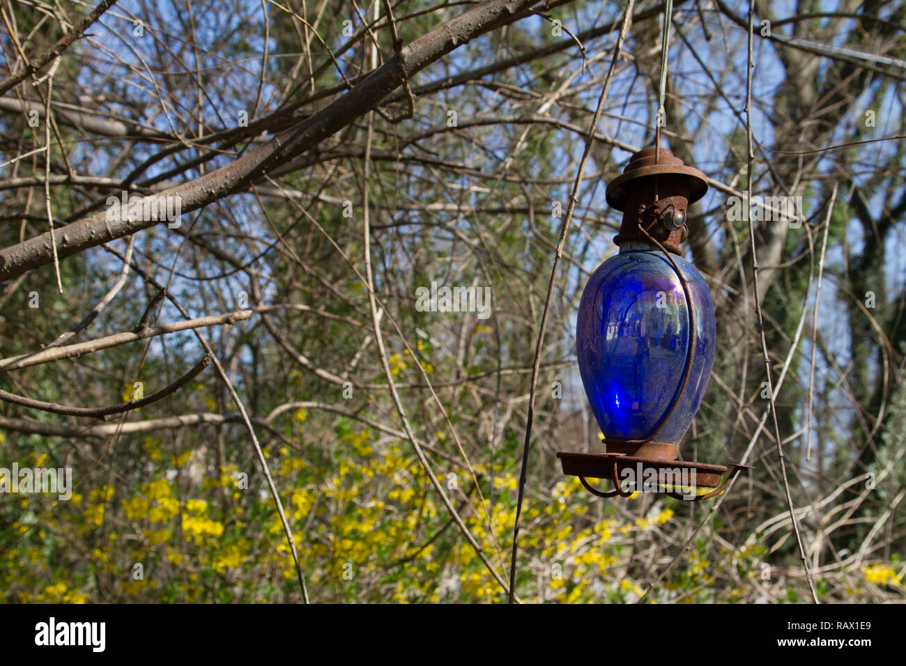 Blue Hummingbird Feeder Stock Photo 230453281 Alamy