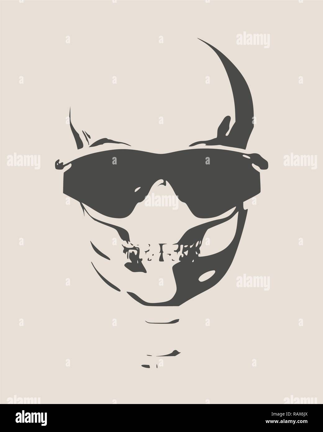 Anatomic illustration of skull Stock Vector Image & Art - Alamy