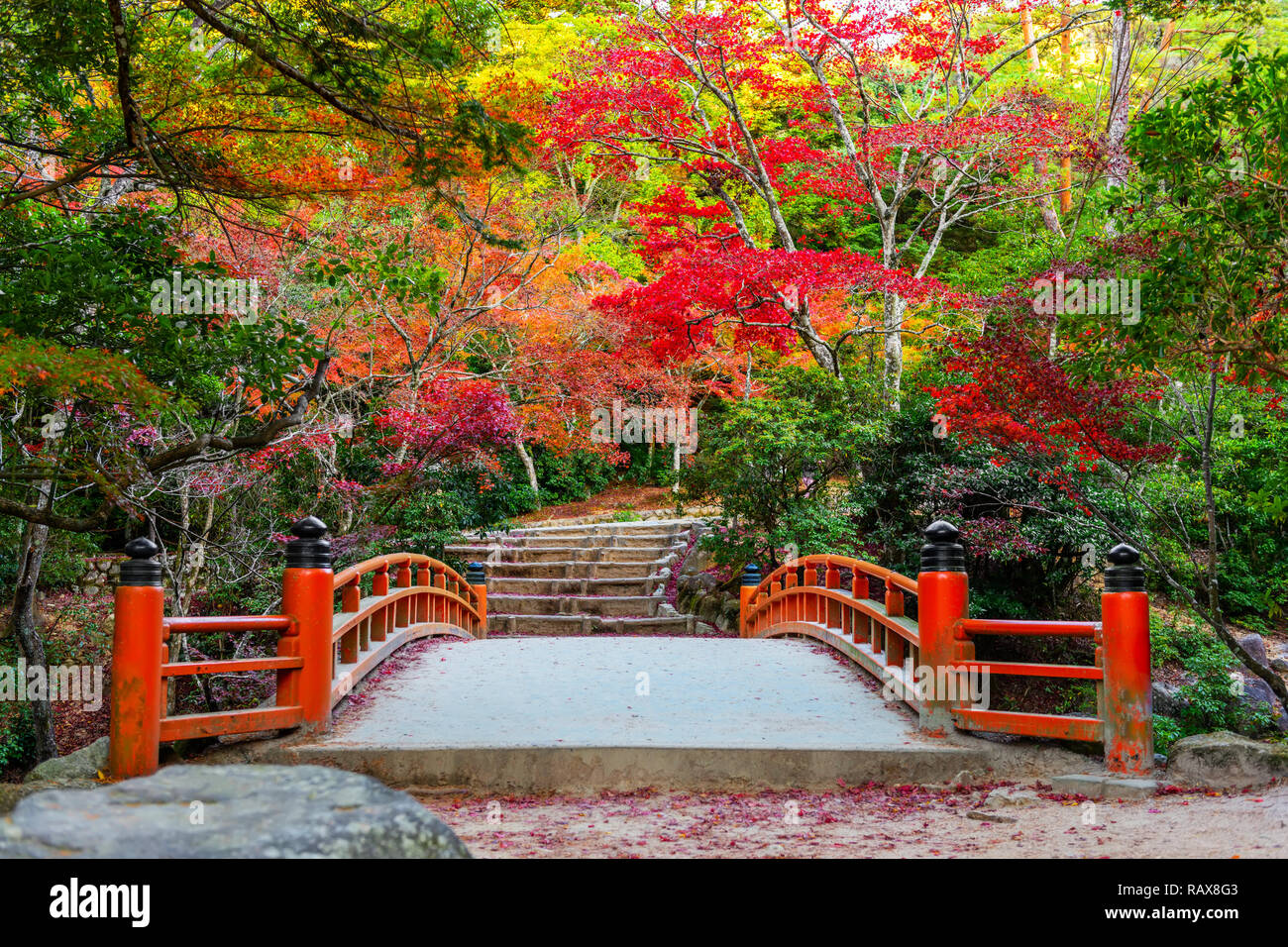 Beautiful Japanese Garden With Traditional Bridge Autumn Travel