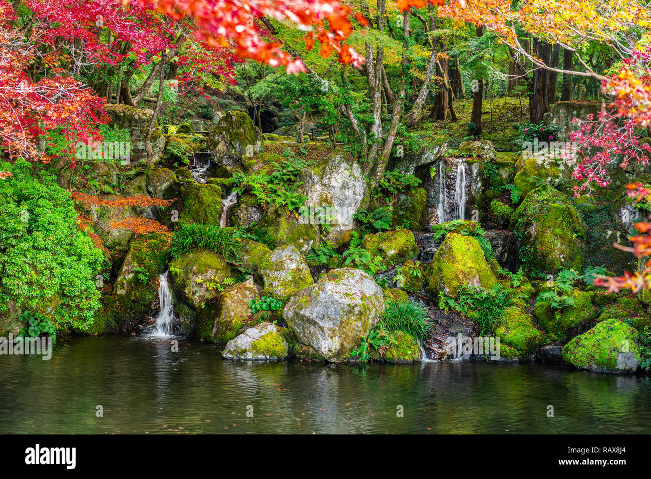beautiful autumn scene with waterfall and pond in garden, Japan Stock ...