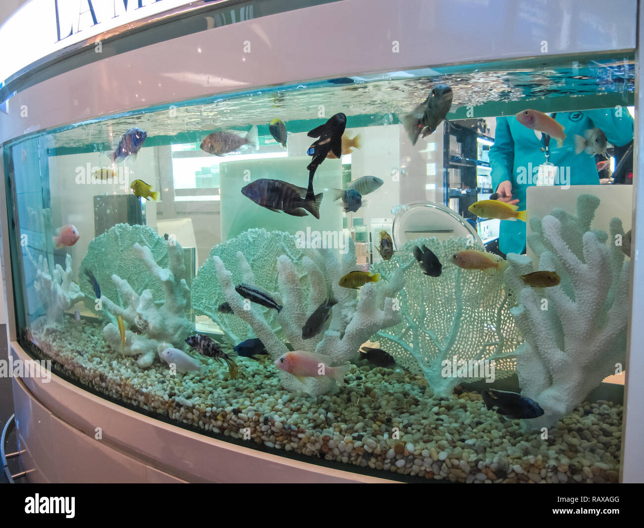 Dubai Airport Uae June 11 10 Dubai Passenger Airport In The United Arab Emirates Interior Of The Airport Stock Photo Alamy