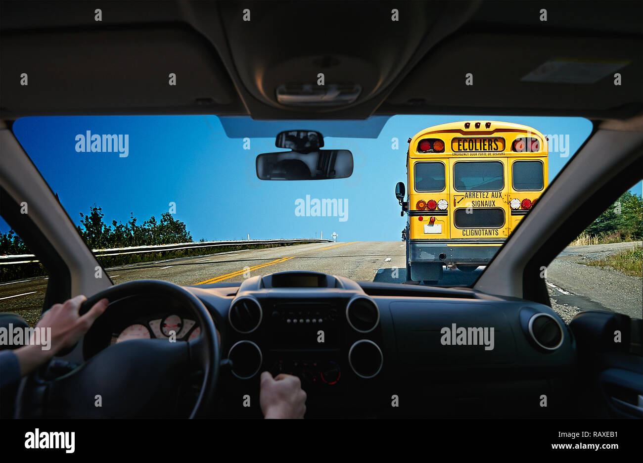 Young driver inside a car following a Yellow bus school Stock Photo