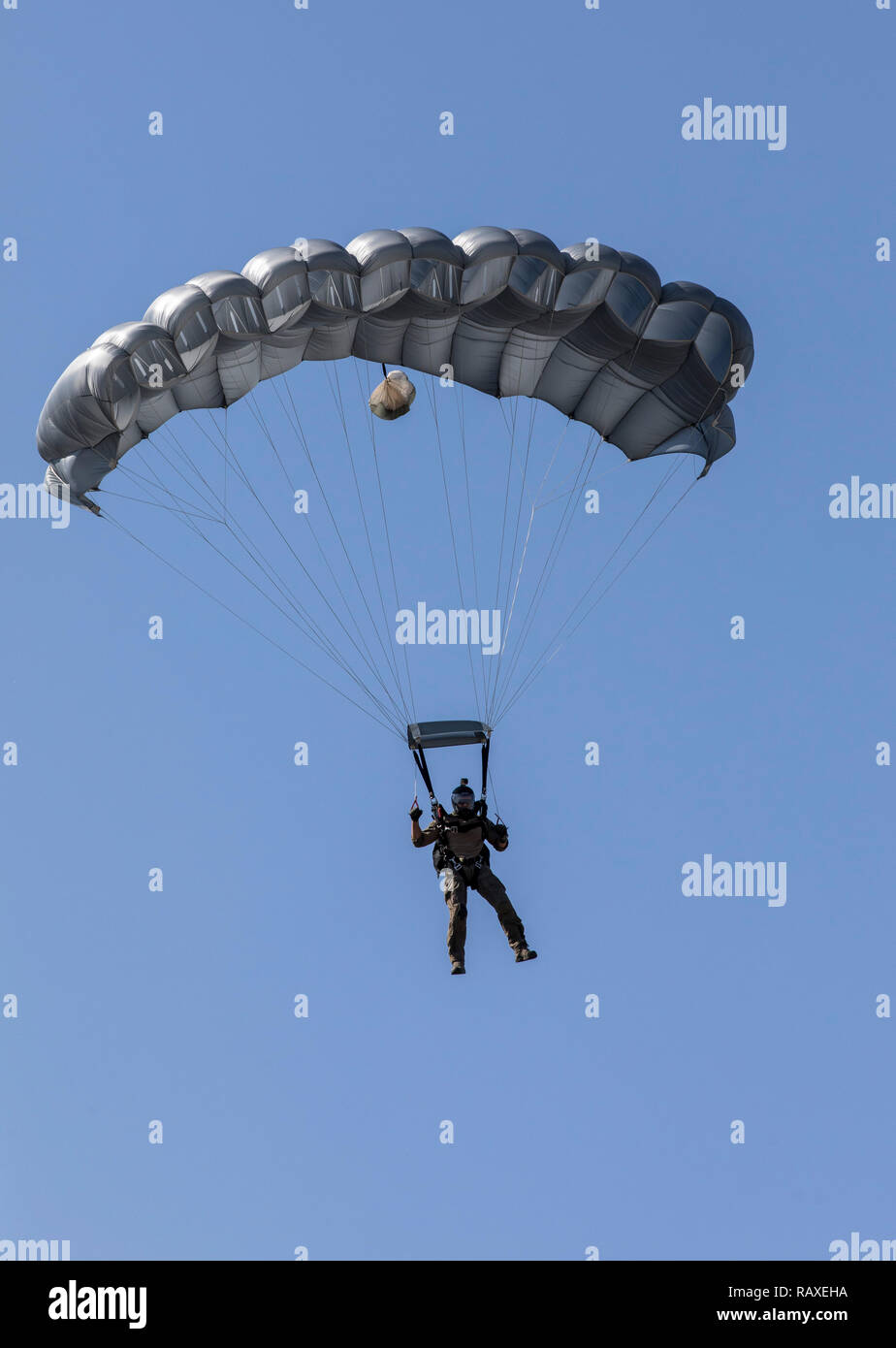 Official of the Federal Police, special unit, GSG9, in a parachute jump, during a public event, Stock Photo