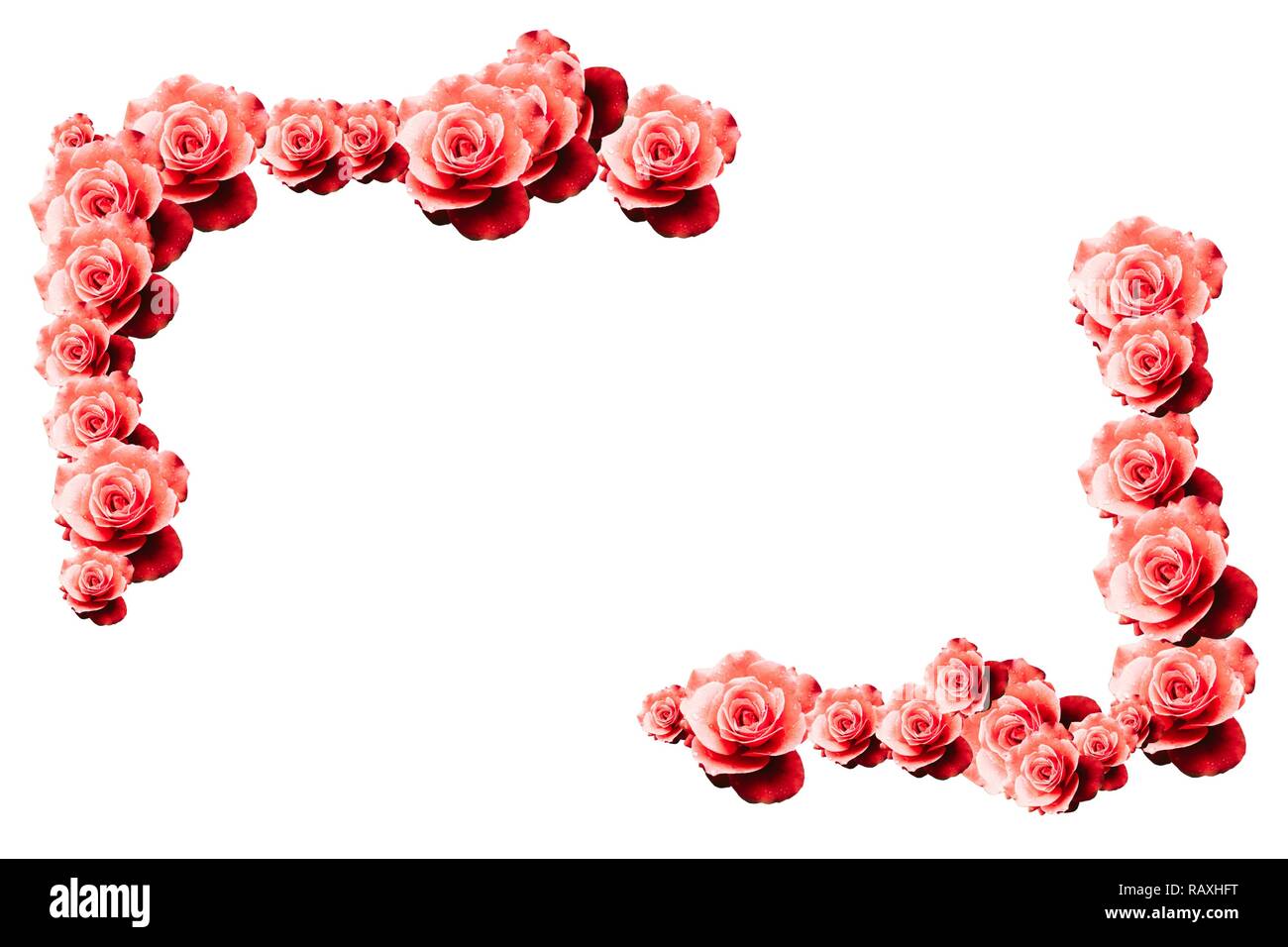 Featured image of post Wedding Floral Borders And Frames / Design borders and frames vector.