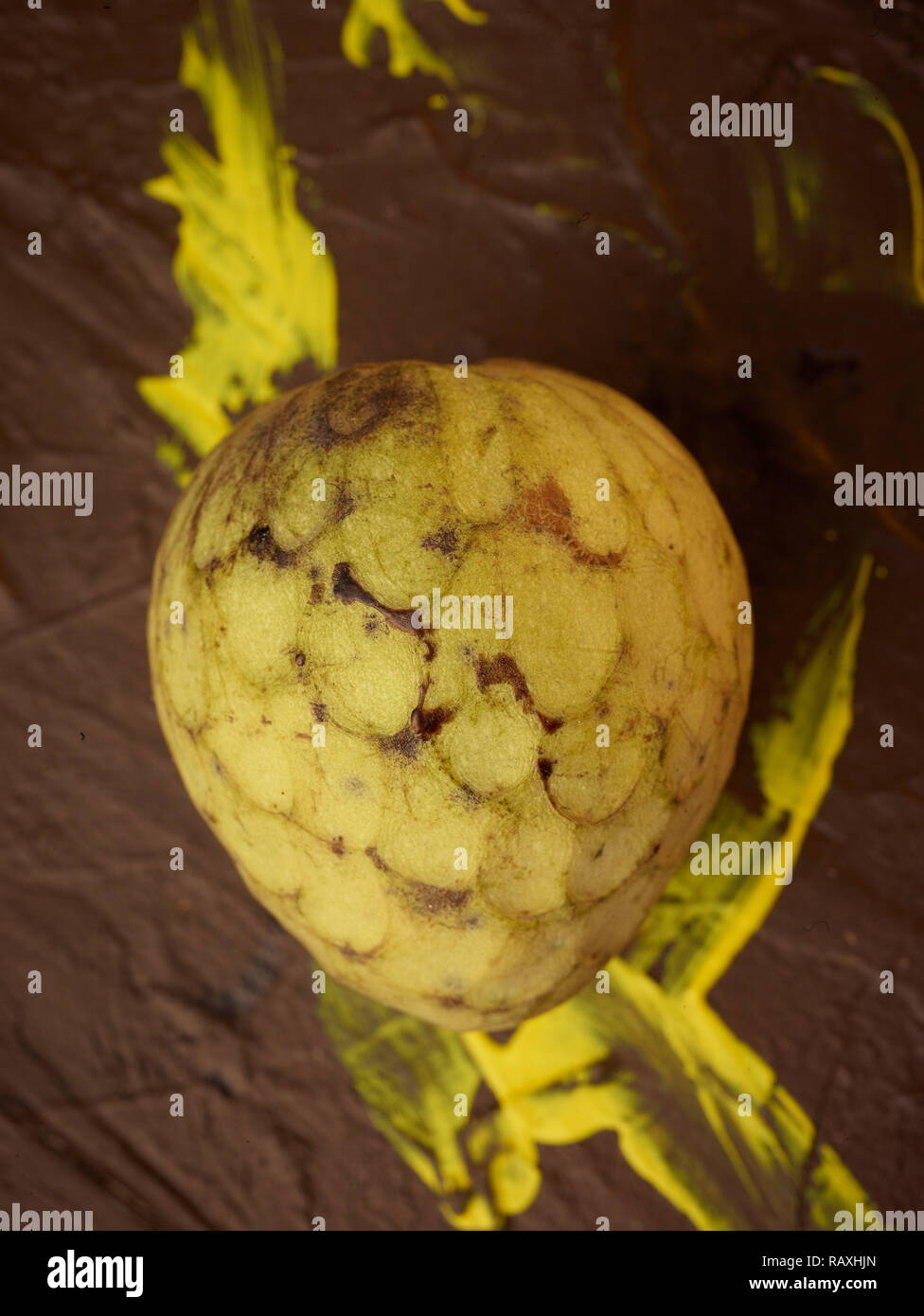 Sugar-apple, sweetsop, custard apple, fruit still-life food photograph ...