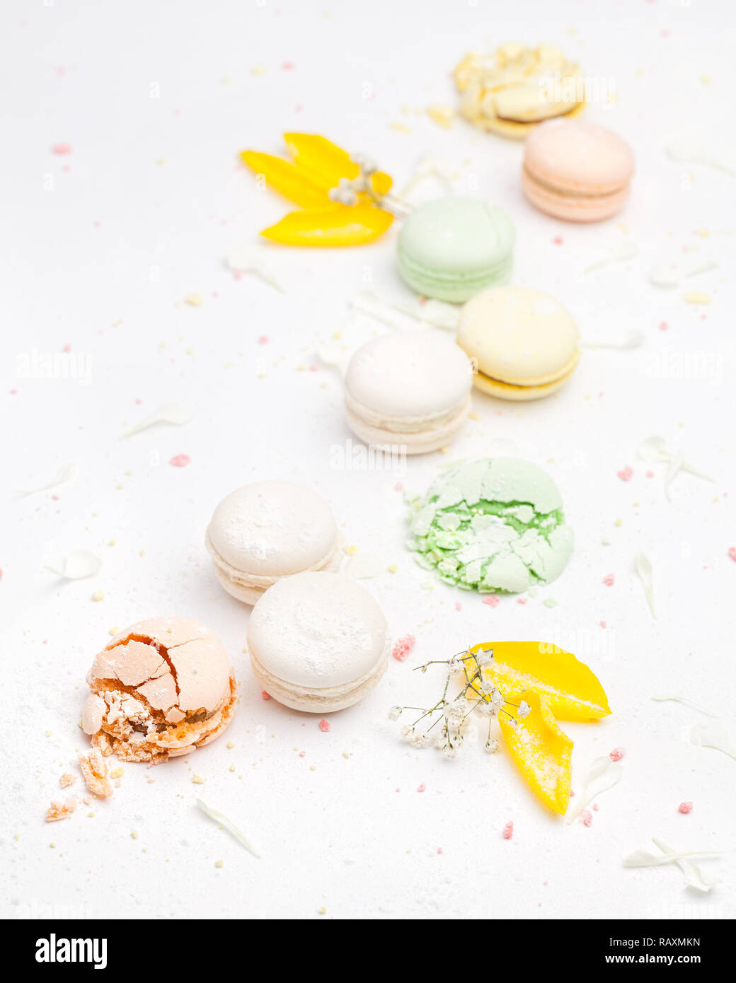 Colorful French macarons on white background with sugar powder and flower petals around Stock Photo