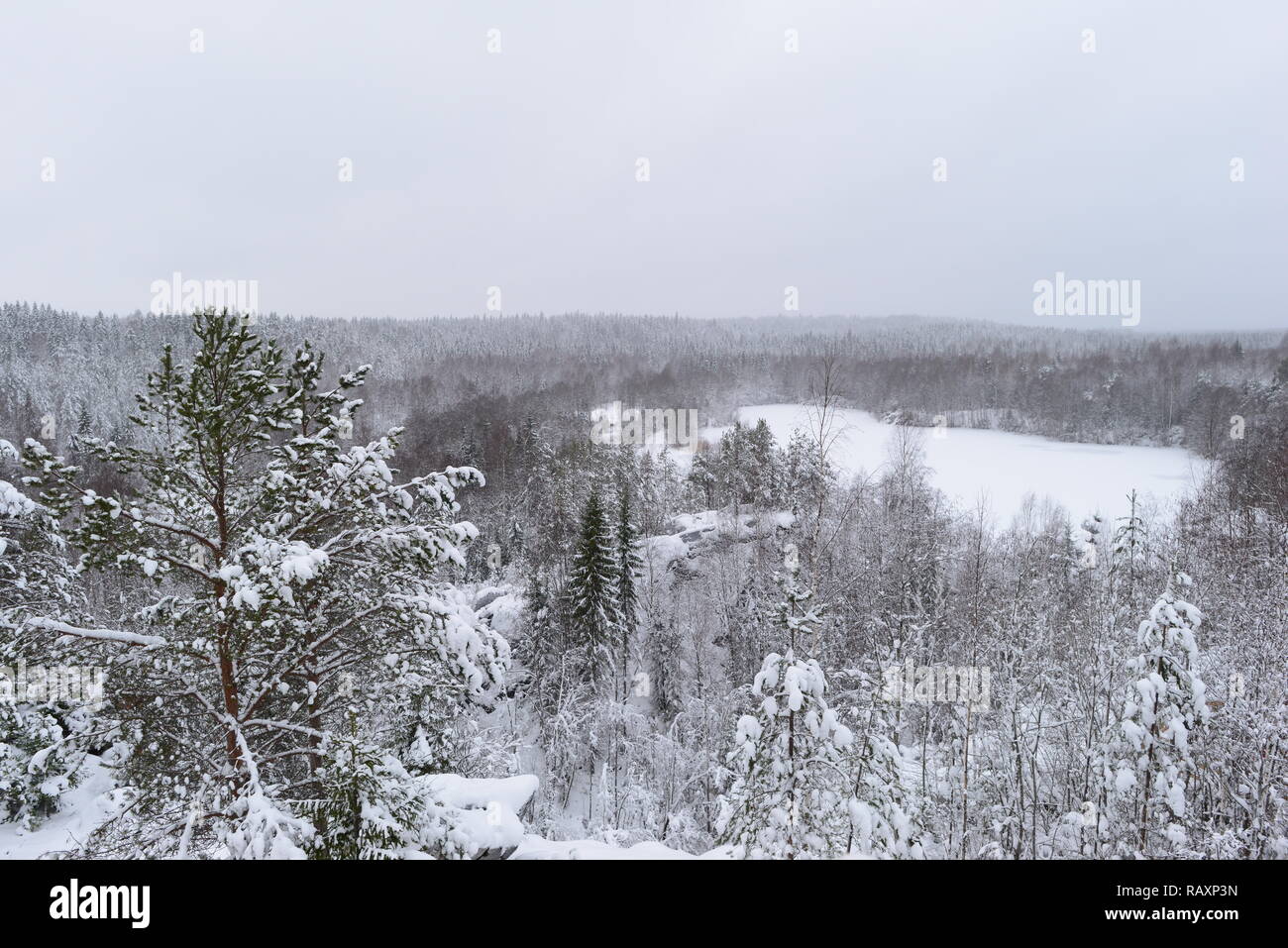 Frozen lake spruce forest hi-res stock photography and images - Alamy
