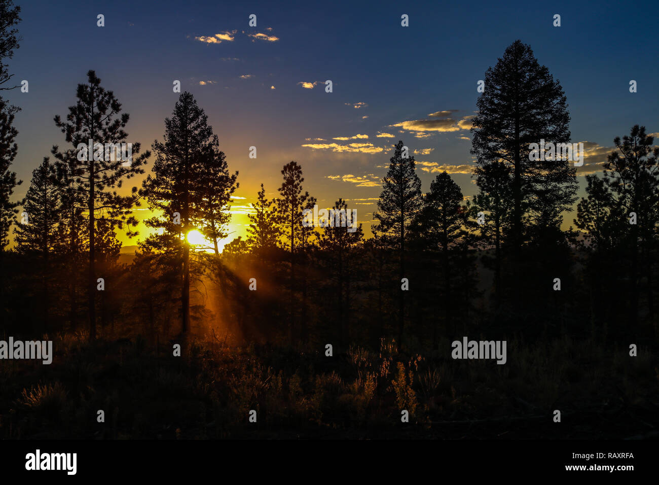 Dark sky sunset hi-res stock photography and images - Alamy