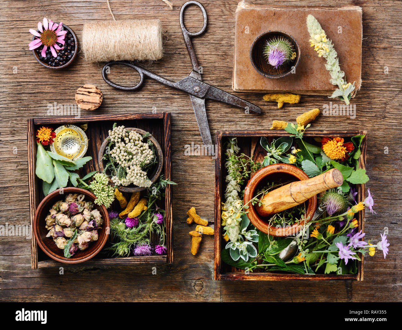 Natural herbal medicine with herbs and flowers on rustic wood   banner Stock Photo - Alamy