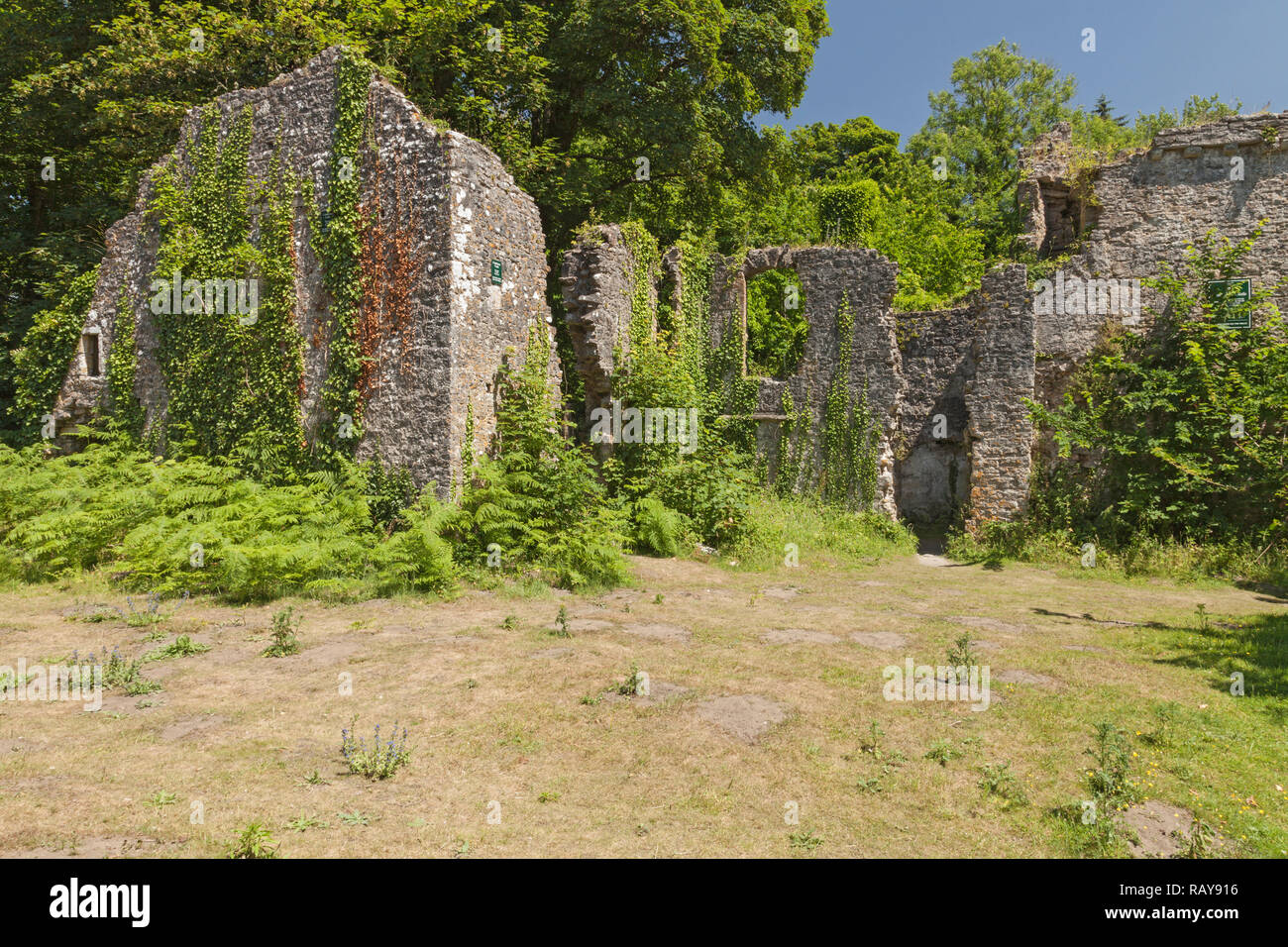 Candleston castle wales hires stock photography and images Alamy