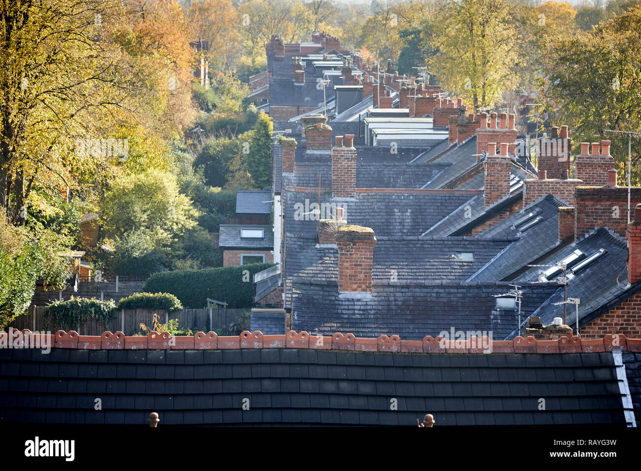 Autumn view over rooftops Sale in Gtr Manchester Stock Photo Alamy