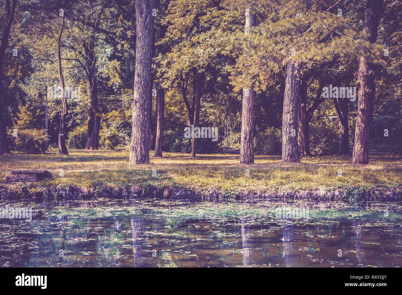 Autumn landscape. Lake with reflections in water and forest Stock Photo ...