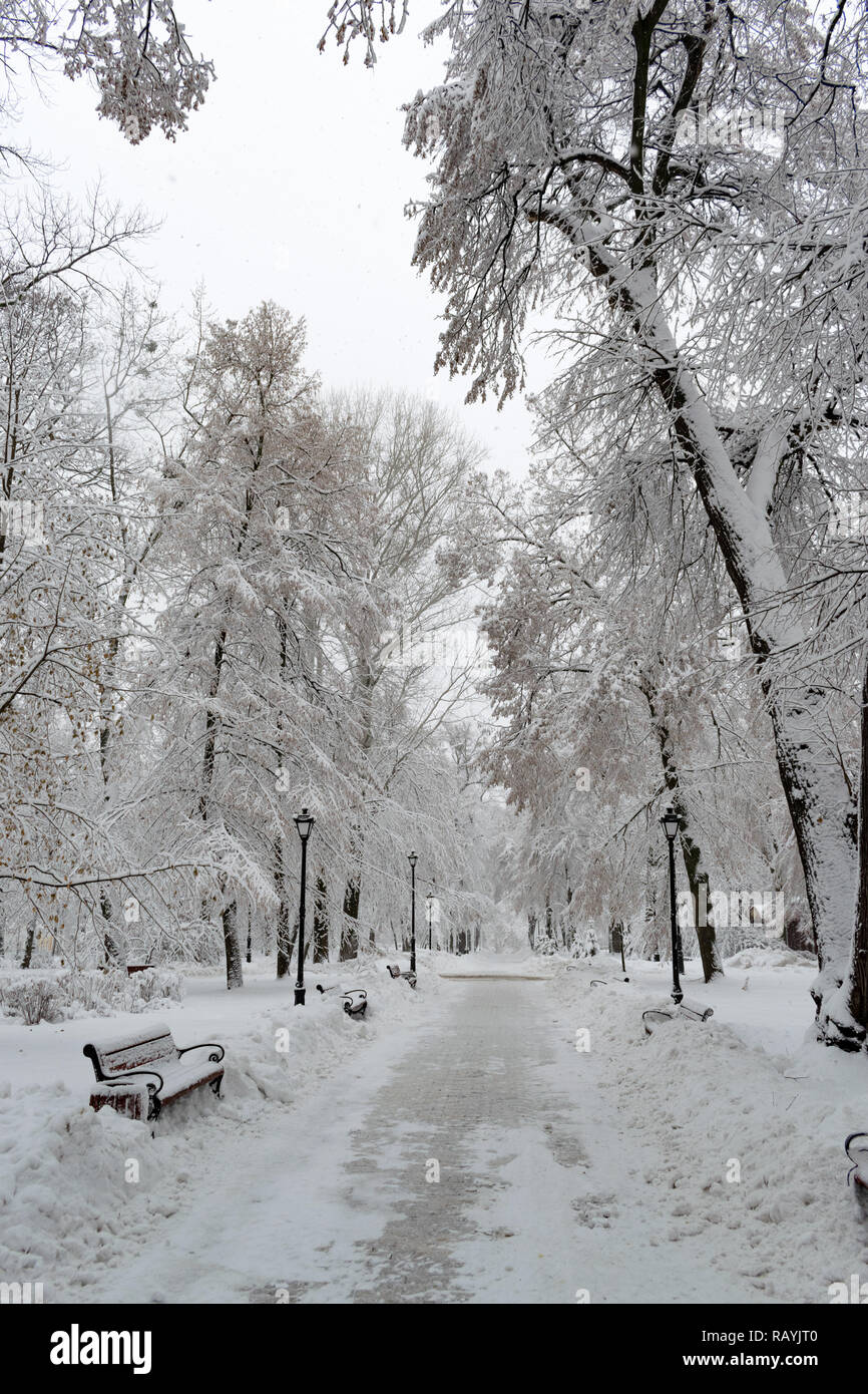 Public park covered with thick layer of fresh snow in winter Stock ...