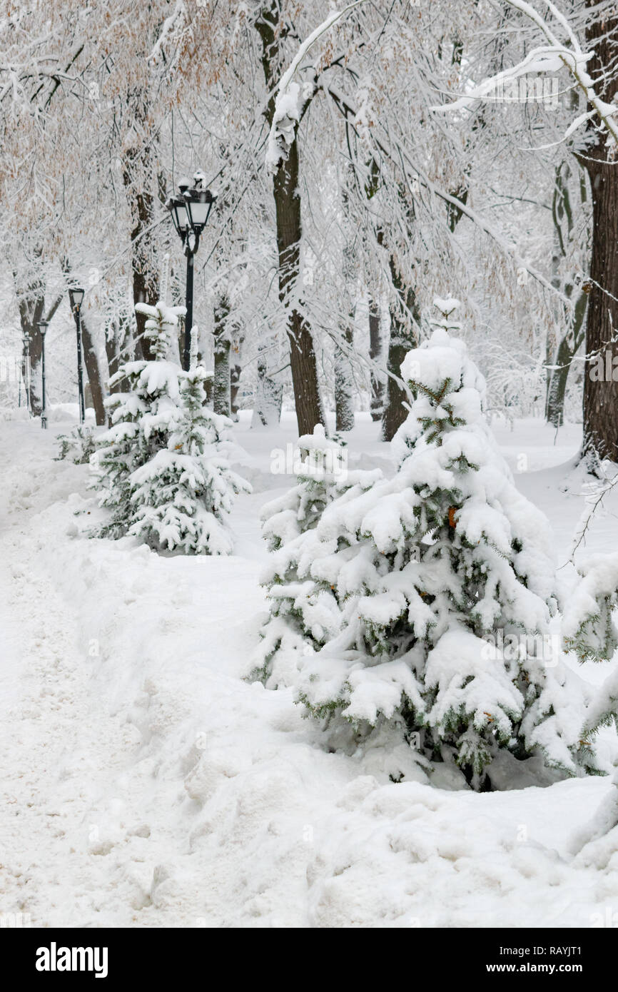 Public park covered with thick layer of fresh snow in winter Stock ...