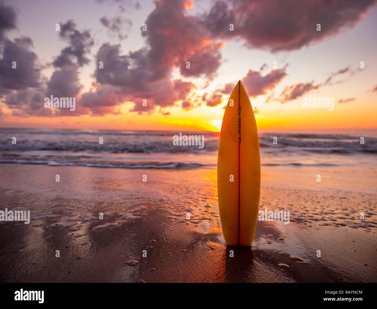 surfboard on the beach in sea shore at sunset time with beautiful light.  water sport background Stock Photo - Alamy