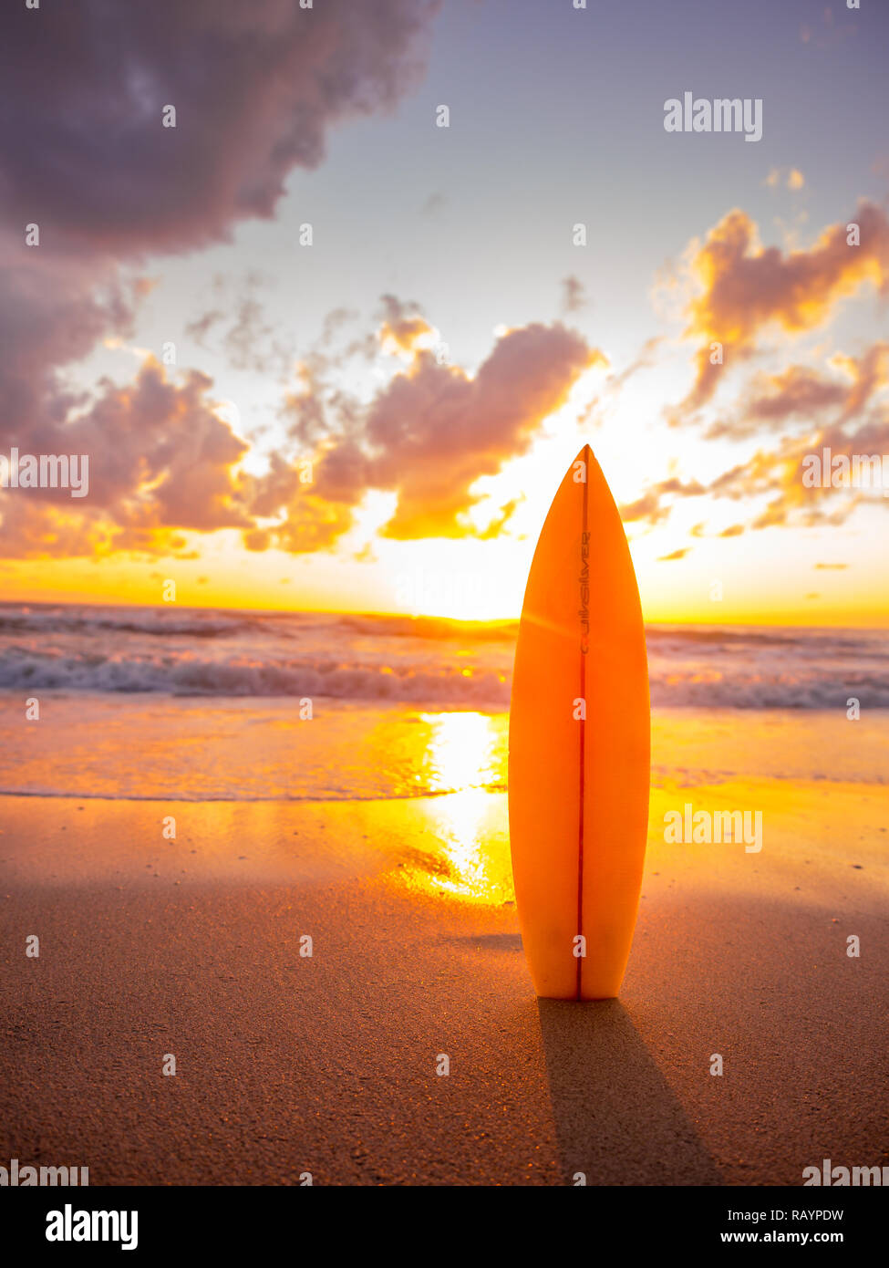 surfboard on the beach in sea shore at sunset time with beautiful light