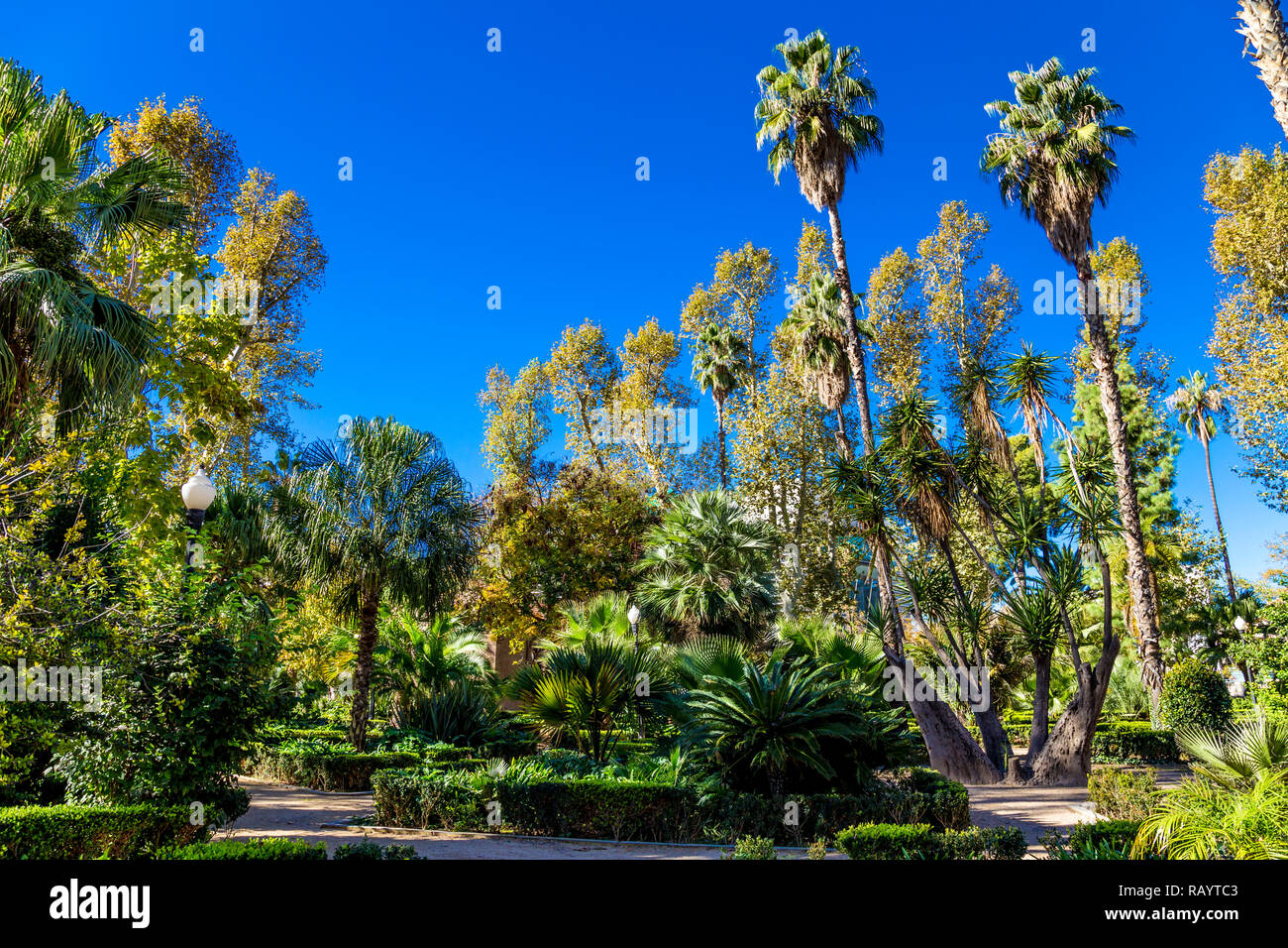Ribalta Park in Castellon de la Plana, Spain Stock Photo
