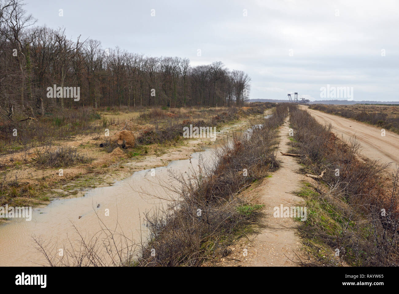 View to the Hambacher Forst, an old natural forest, which becomes a popular symbol in the fight against global warming. Stock Photo