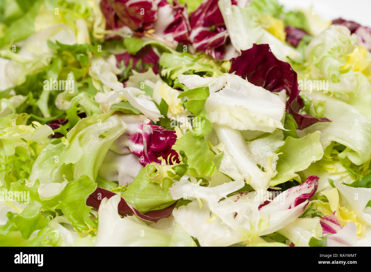 Macro Photo Of Mix Of Different Fresh Green Salad Leaves On Plate Leaves Of Red And White Radicchio Arugula Curled Leaved Endive And Frisee Backgro Stock Photo Alamy