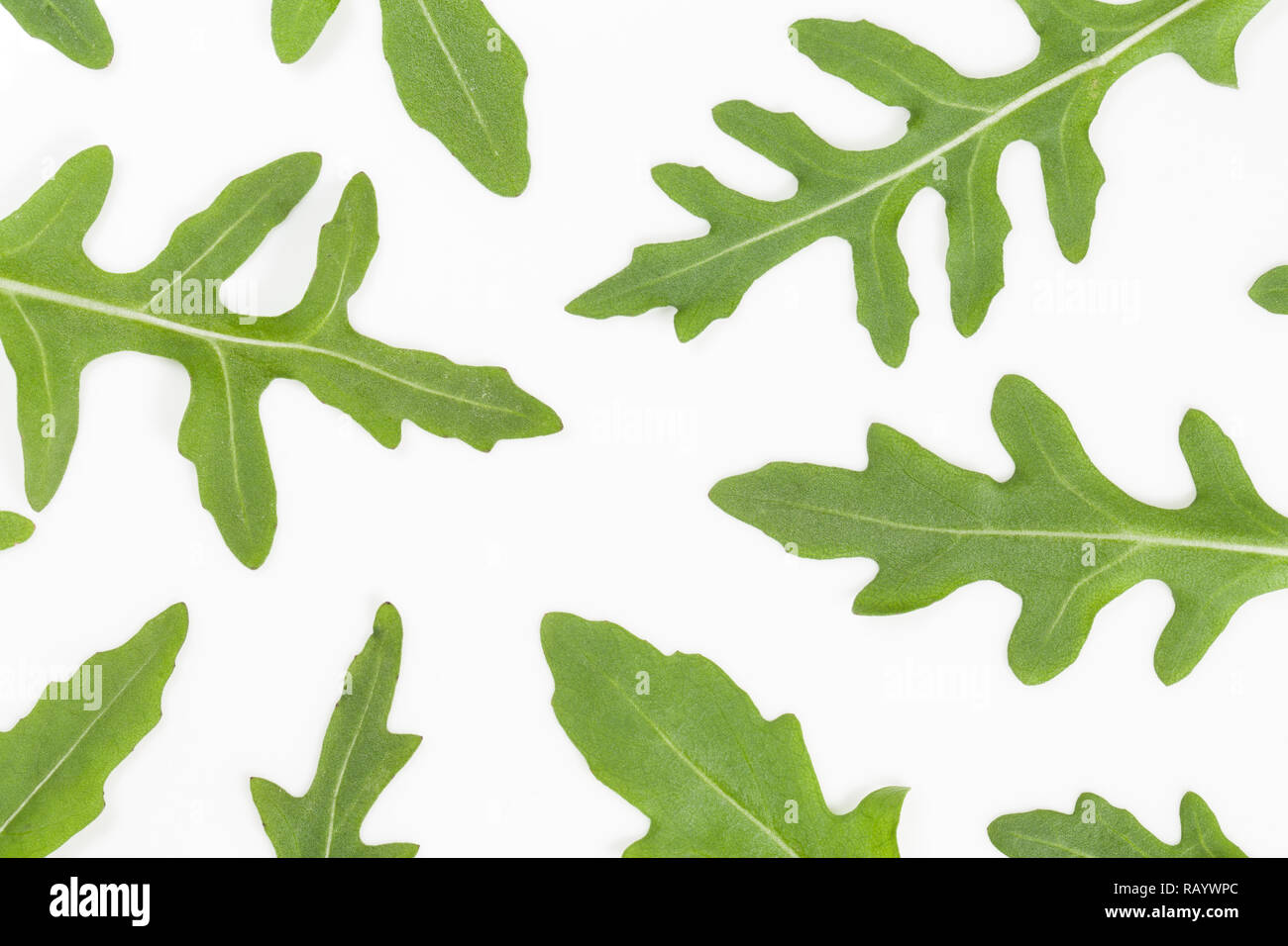 Macro top view image of fresh green leaves of italian arugula isolated on white plate. Rucola salad. Organic healthy diet food. Horizontal color photo Stock Photo