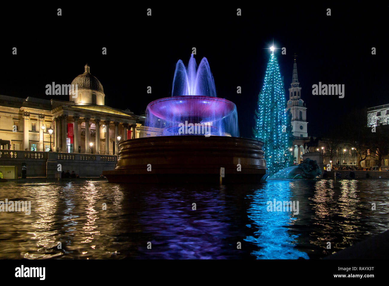 Trafalgar Square's annual Christmas Tree from Norway with the National Gallery in the background