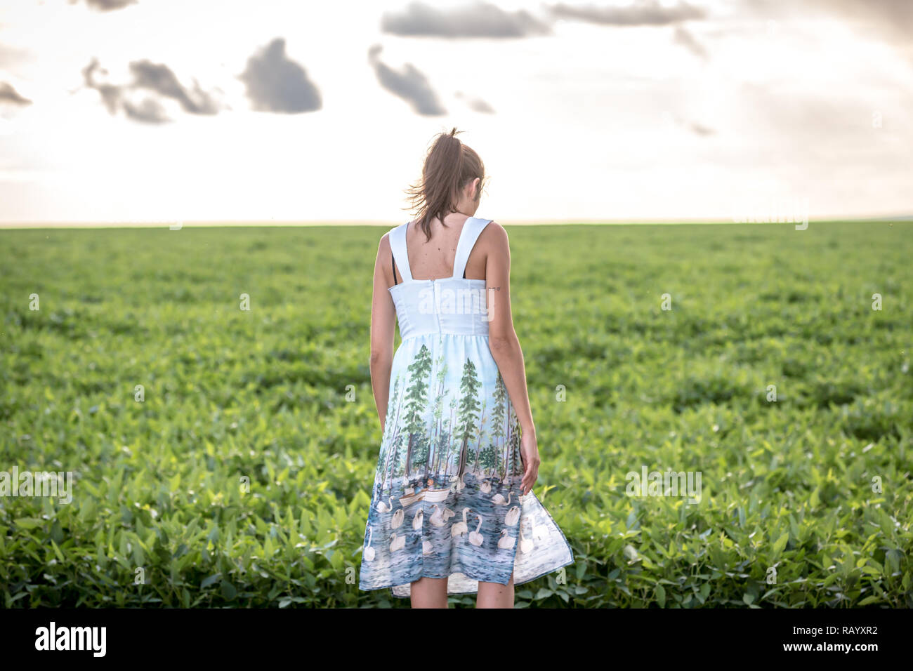 Soy bean farmer brazil hi-res stock photography and images - Alamy