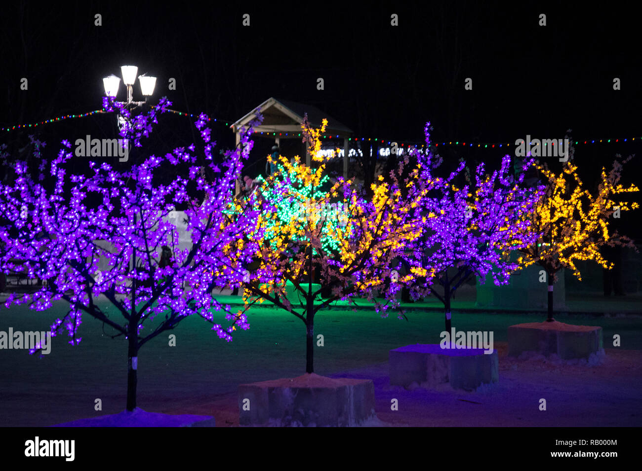 Road defocused light night tree hi-res stock photography and images - Alamy