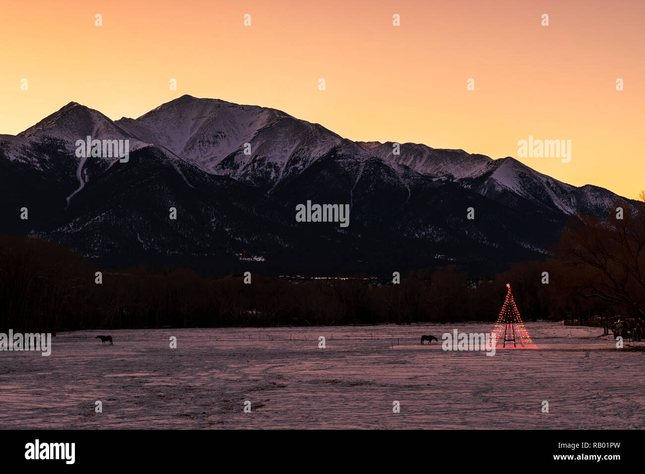 Lone Christmas Tree illuminated in snowy ranch pasture; Rocky Mountains beyond; Central Colorado; USA Stock Photo
