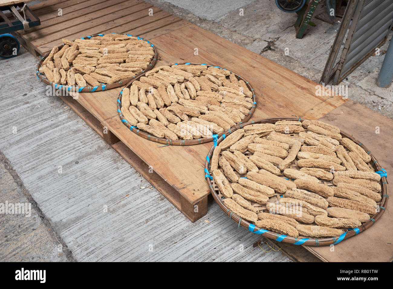 Sea Cucumbers, Sun Drying Stock Photo Alamy