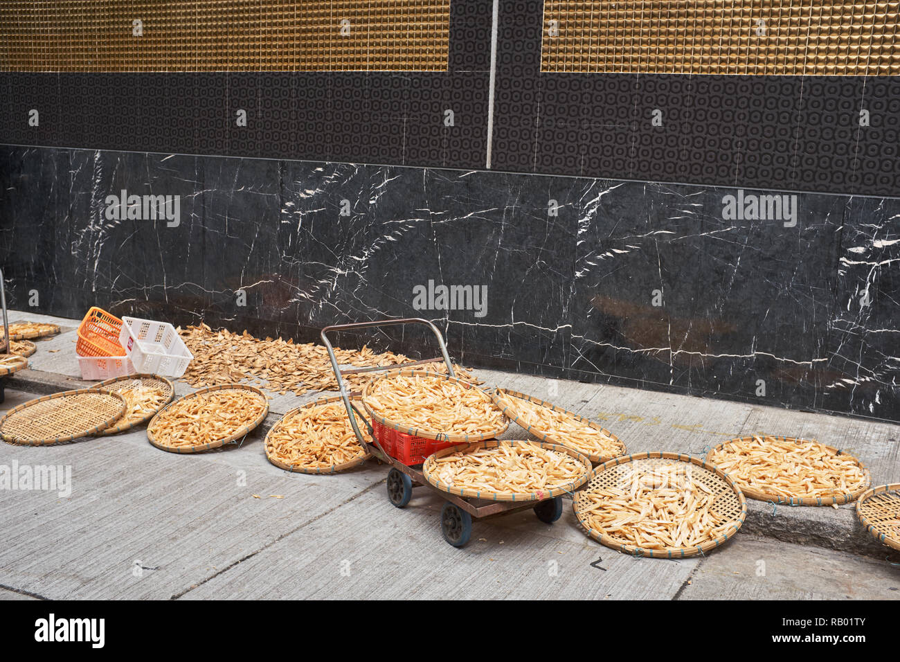 Sea Cucumbers, Sun Drying Stock Photo Alamy