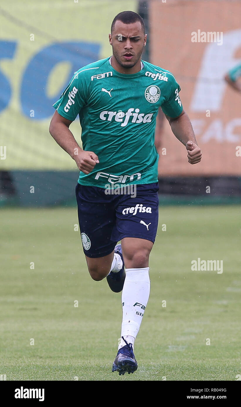 Sao Paulo Sp 05 01 2019 Treino Do Palmeiras The Player Arthur Cabral From Se Palmeiras During