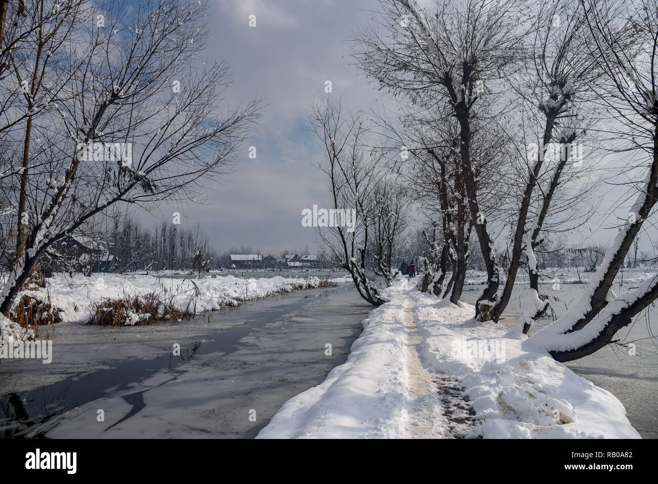 Kashmir India 5th Jan 2019 A View Of Snow Covered Way At