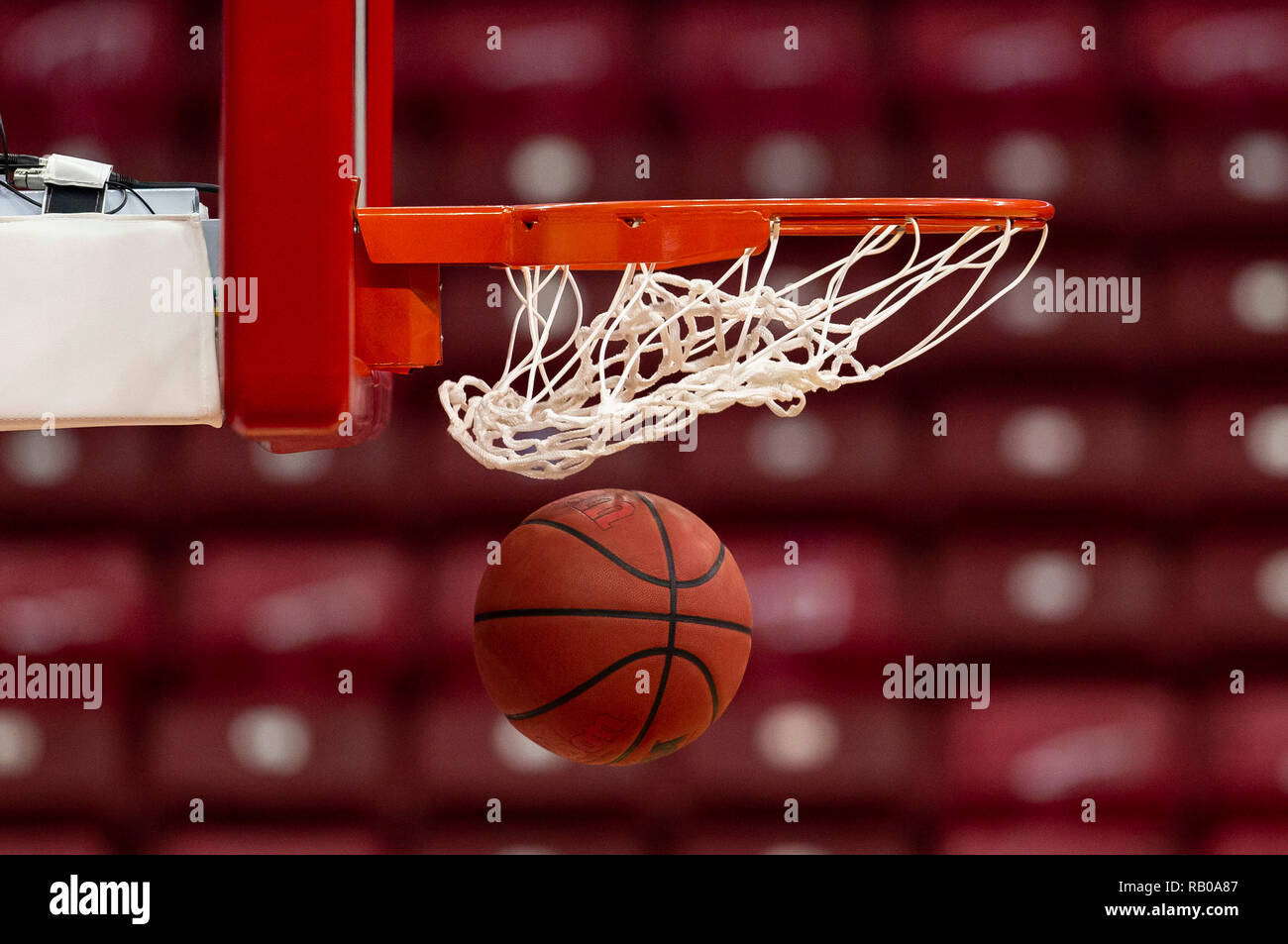 wilson basketball net