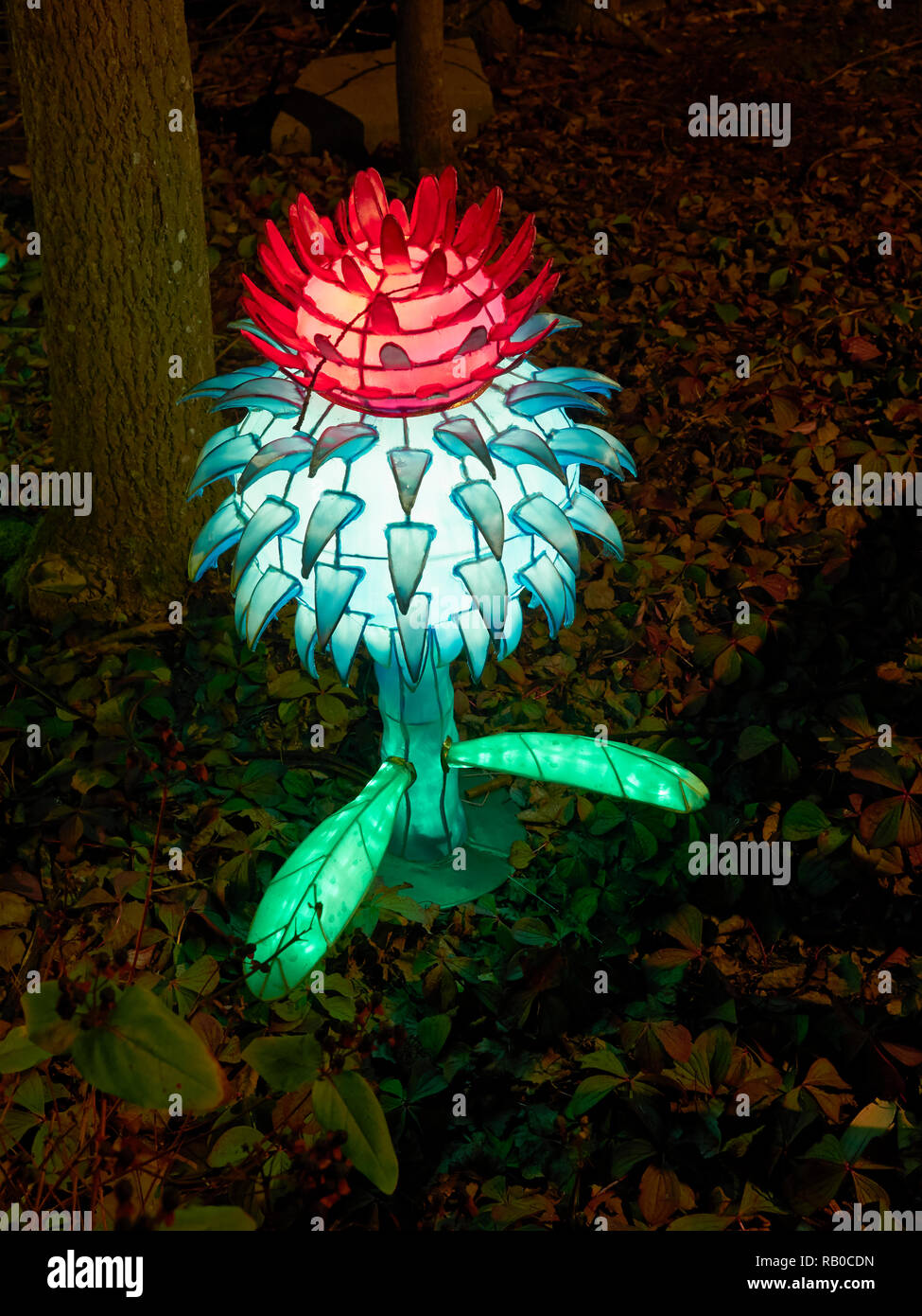 Edinburgh Zoo, Edinburgh, Scotland, UK, 5th January 2019, Giant Lanterns of China Display of Mythical Creatures, Legends and Animals throughout the Zoo during January 2019. Plant. Stock Photo