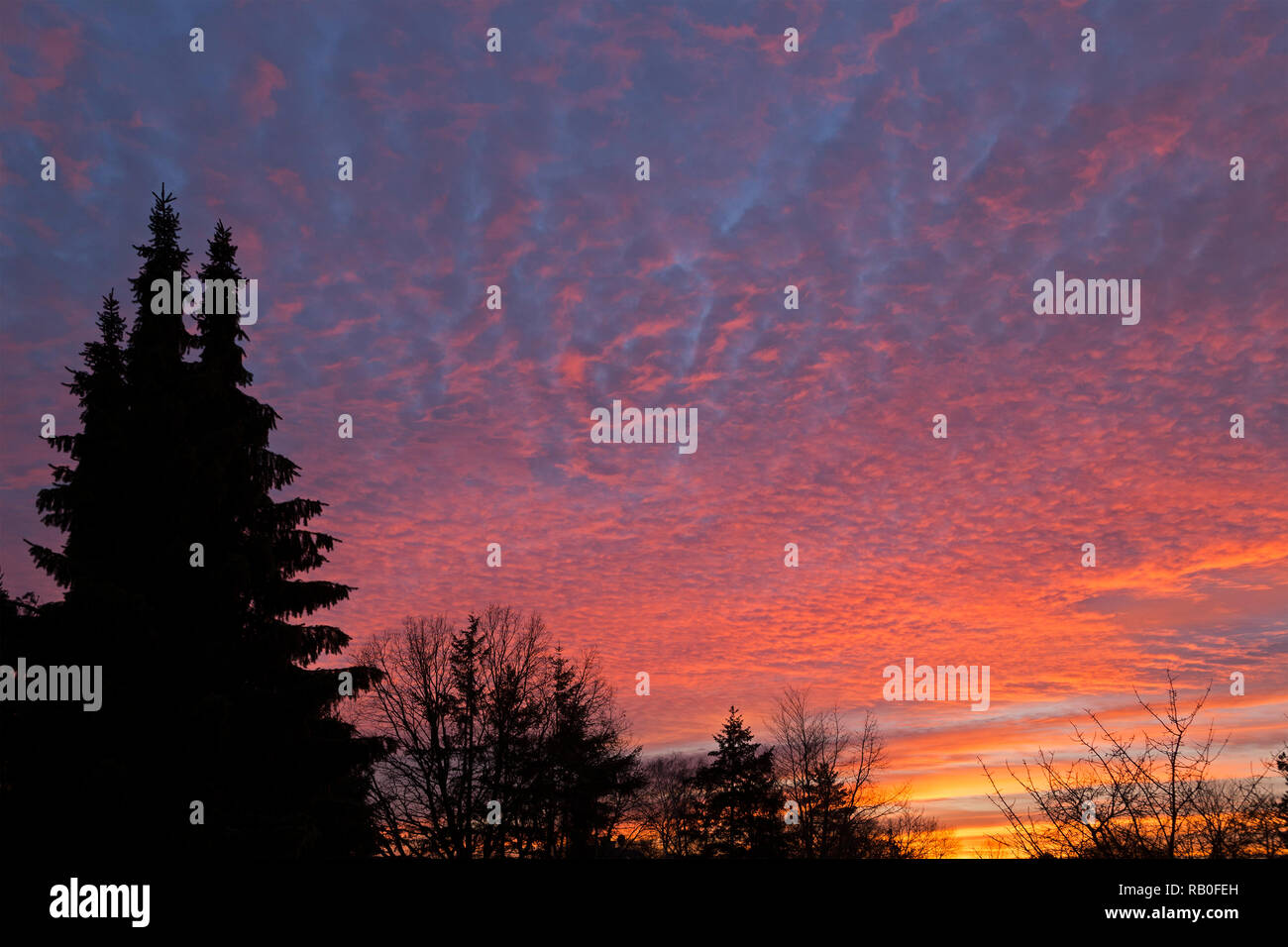 afterglow, Lueneburg, Lower Saxony, Germany Stock Photo