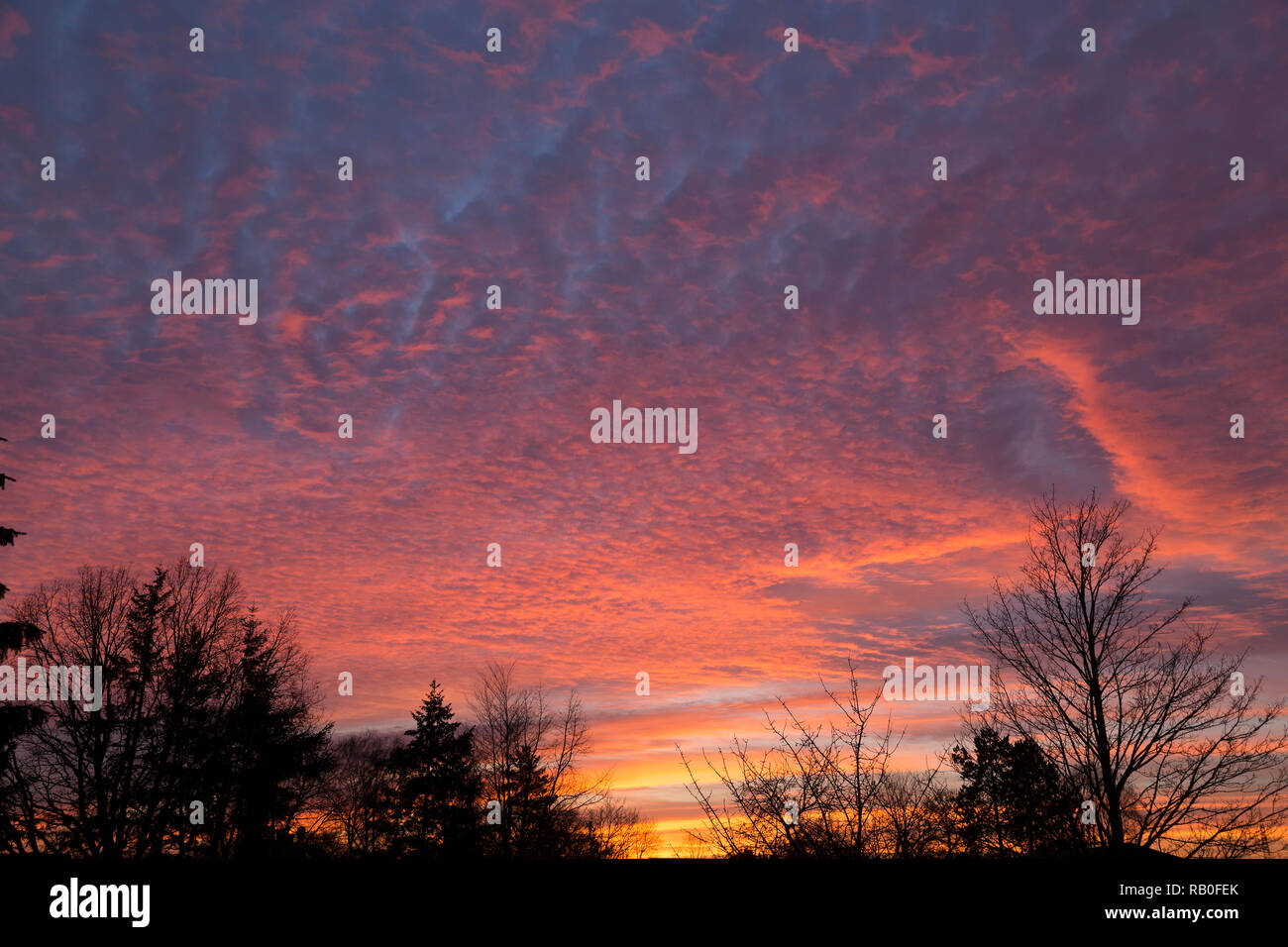 afterglow, Lueneburg, Lower Saxony, Germany Stock Photo