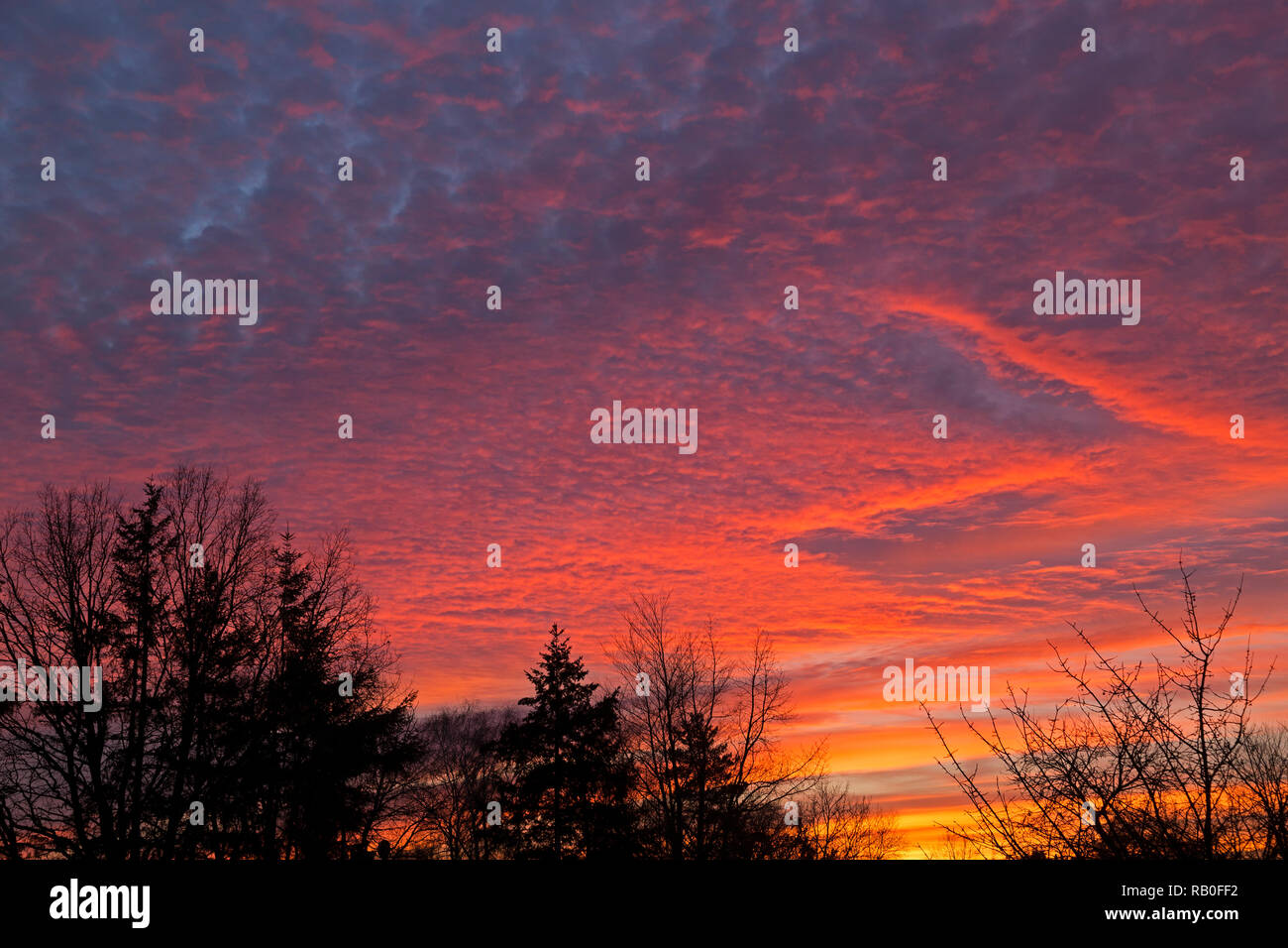afterglow, Lueneburg, Lower Saxony, Germany Stock Photo