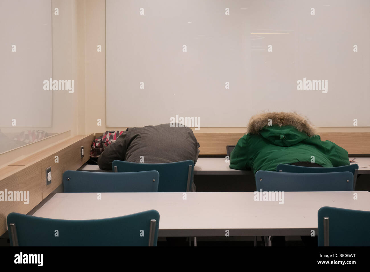 people taking a nap on a desk Stock Photo