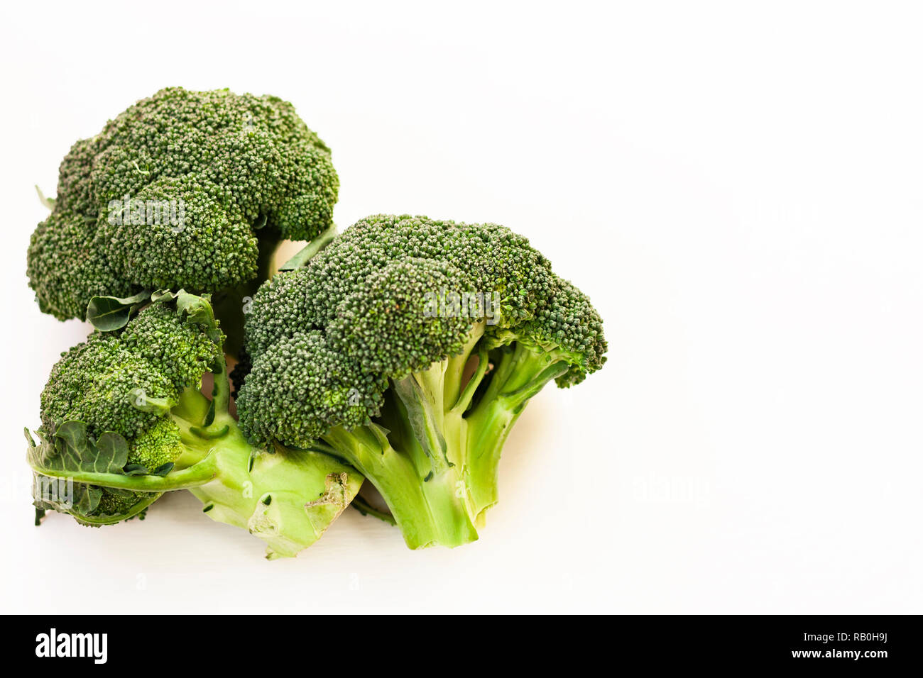 Broccoli inflorescence on white background isolated with space for text. Stock Photo