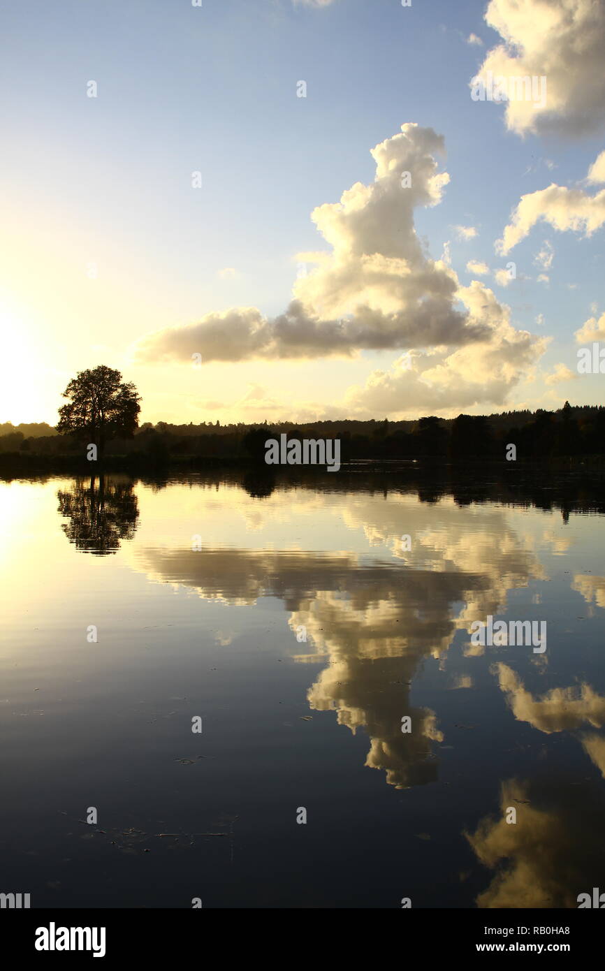 River Thames. Brexit. Picture shows cloud shape of mainland Britain if you use your excellent imagination. Reflection on the River Thames in Buckinghamshire, UK. Fine Autumn weather on the clean river Thames. Moody Book cover. Book cover. Book covers. Stock Photo