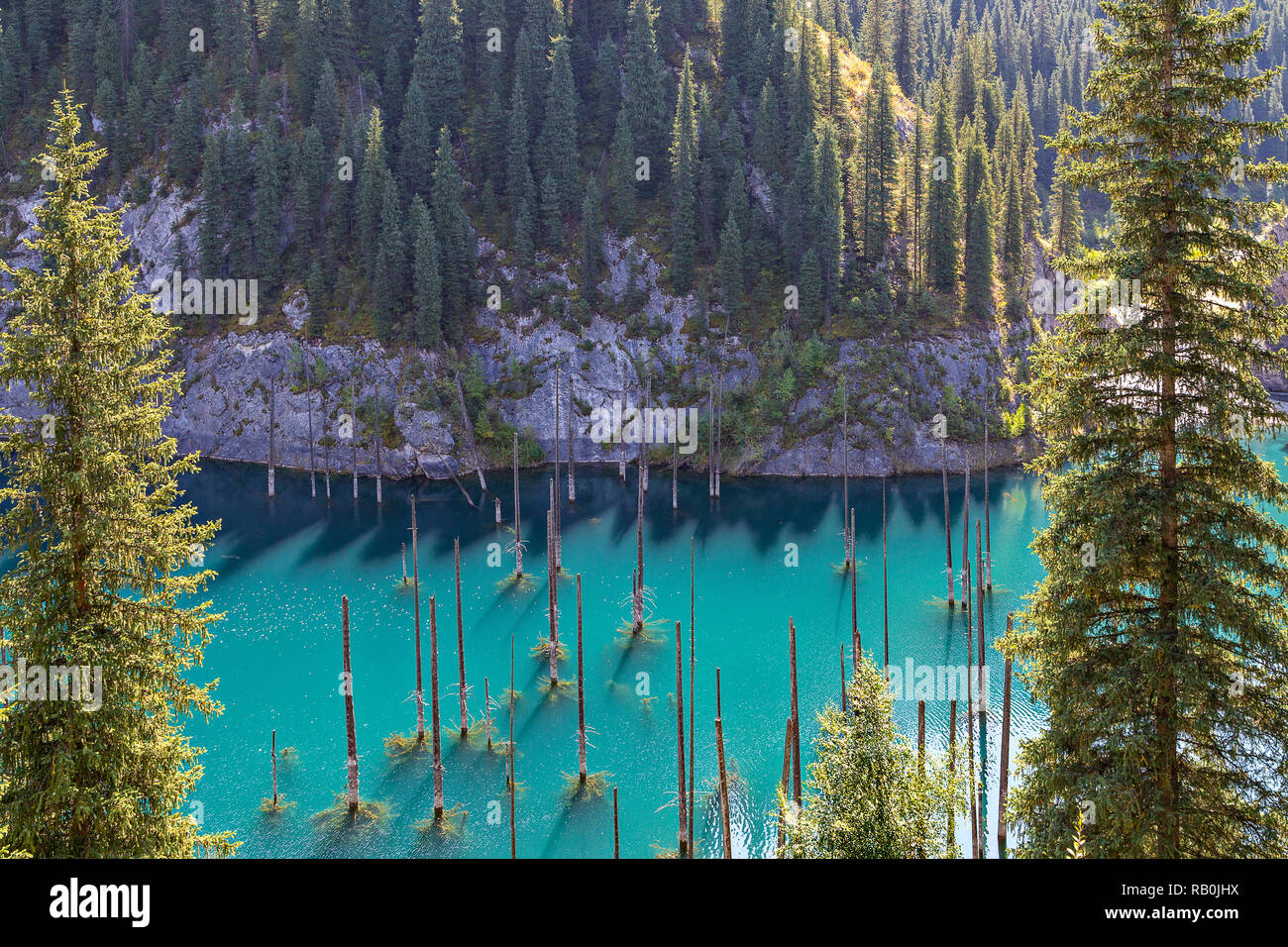 Kaindy Lake in Kazakhstan known also as Birch Tree Lake or Underwater forest, with tree trunks coming out of the water. Stock Photo